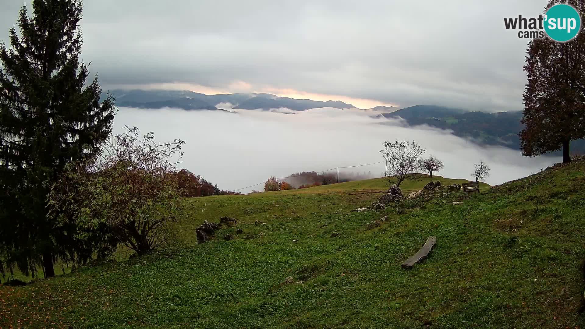 Slajka livecam | Gorenja Vas | Slovénie