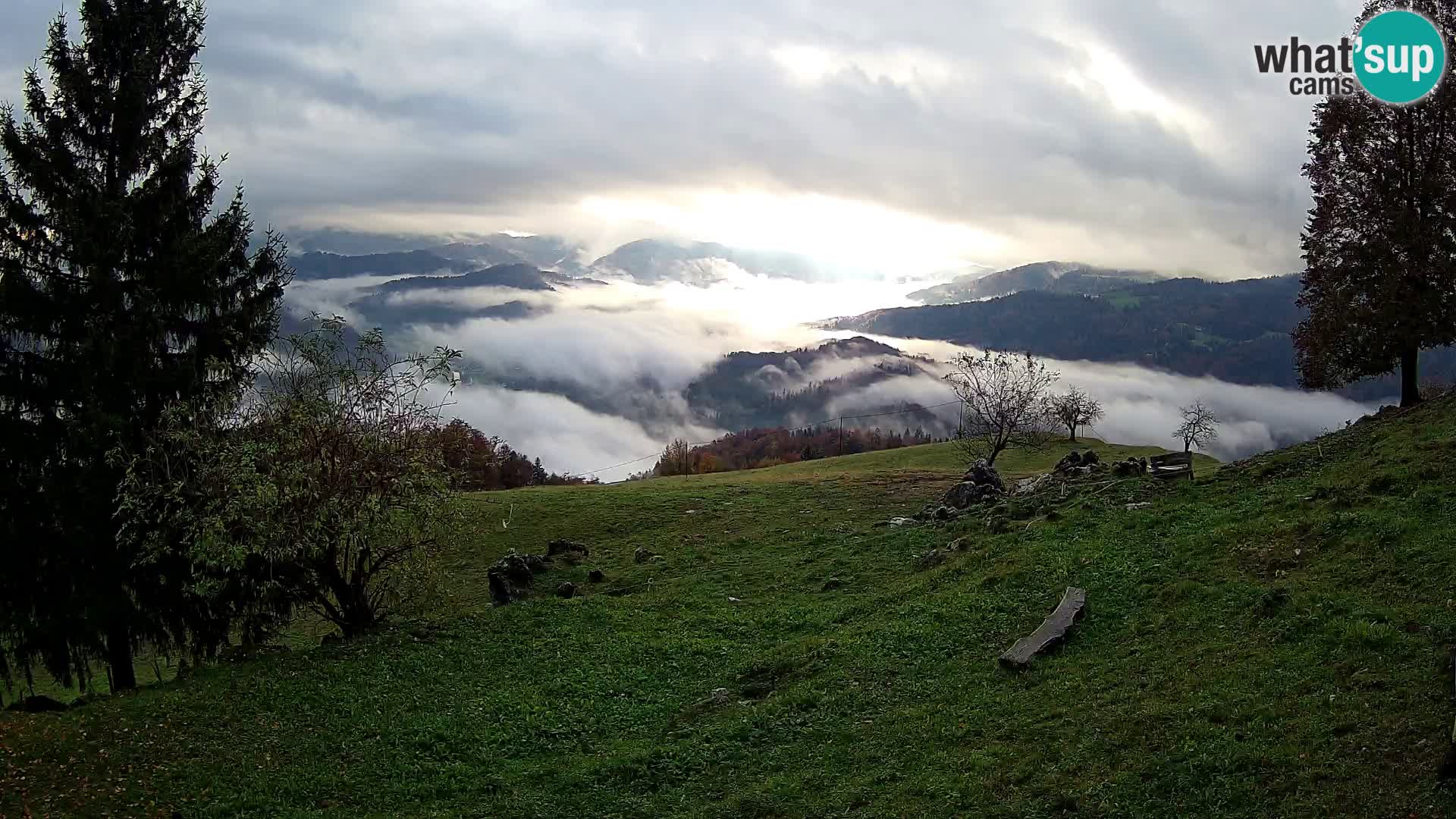 Slajka camera en vivo | Gorenja Vas | Eslovenia