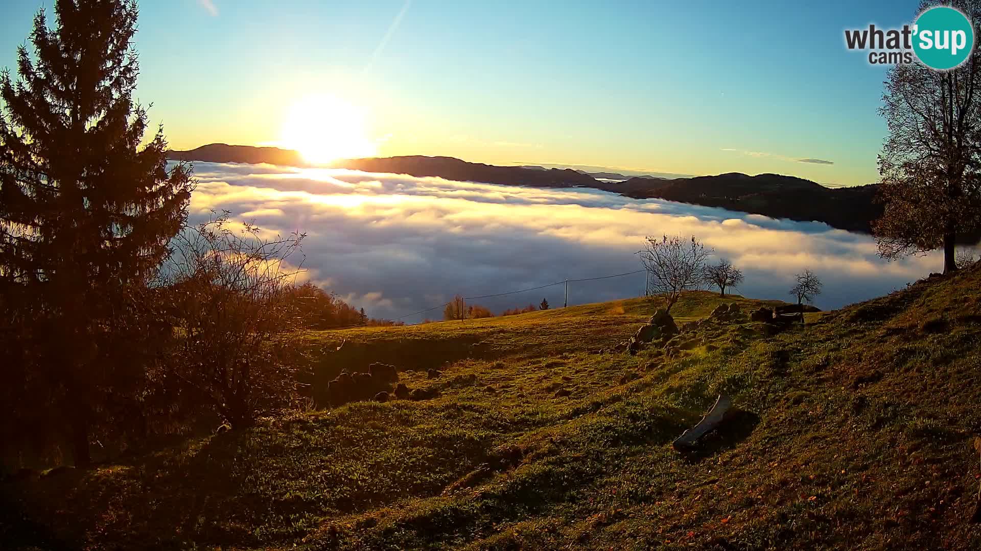 Slajka webam | Gorenja vas | Slovenia