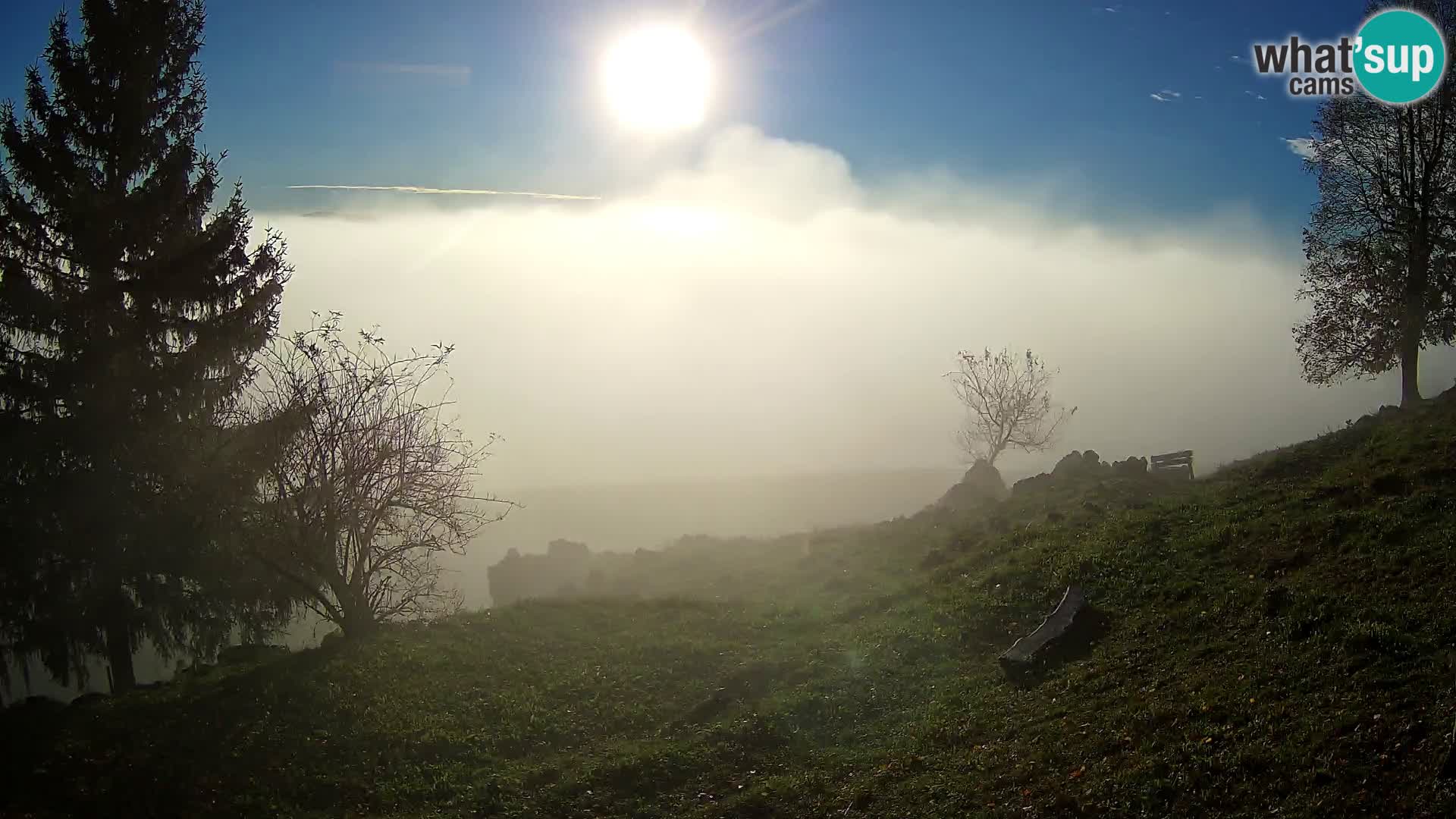 Slajka webam | Gorenja vas | Slovenia