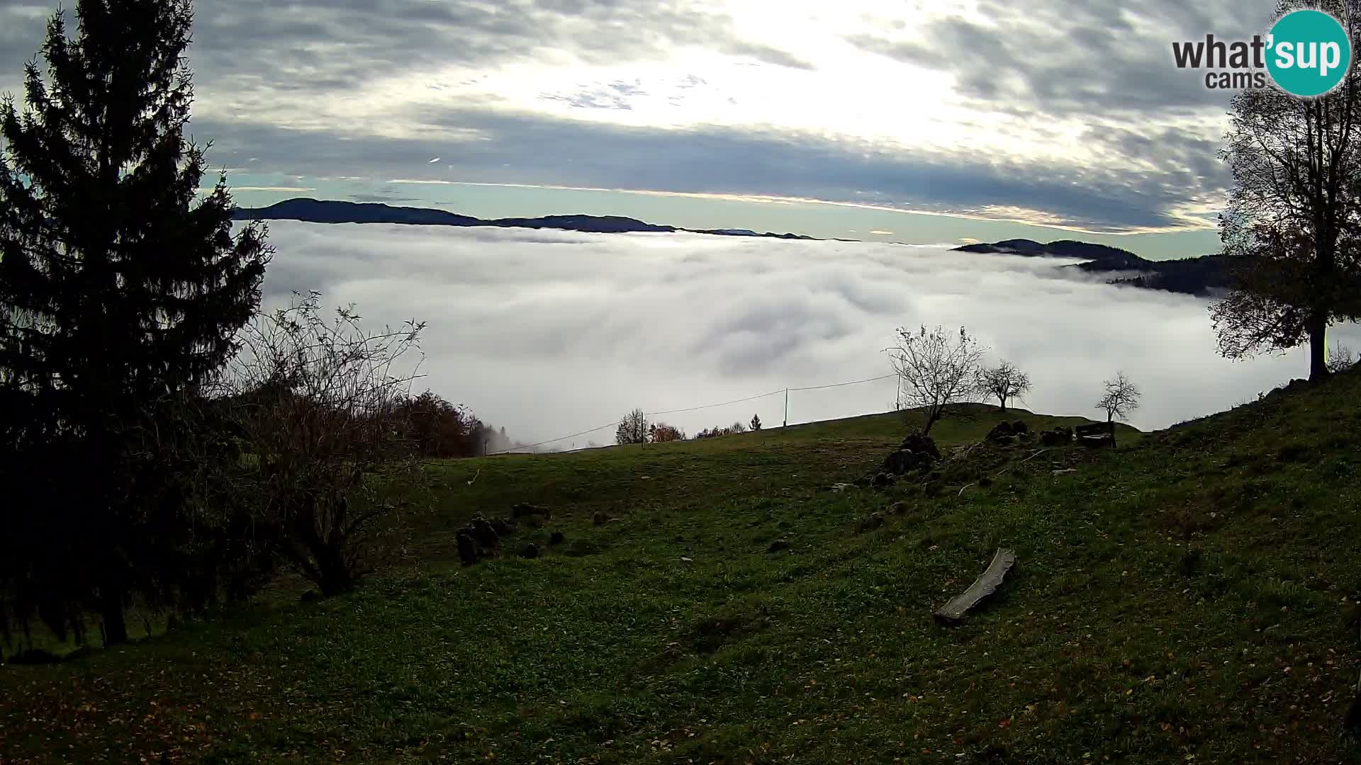 Slajka camera en vivo | Gorenja Vas | Eslovenia