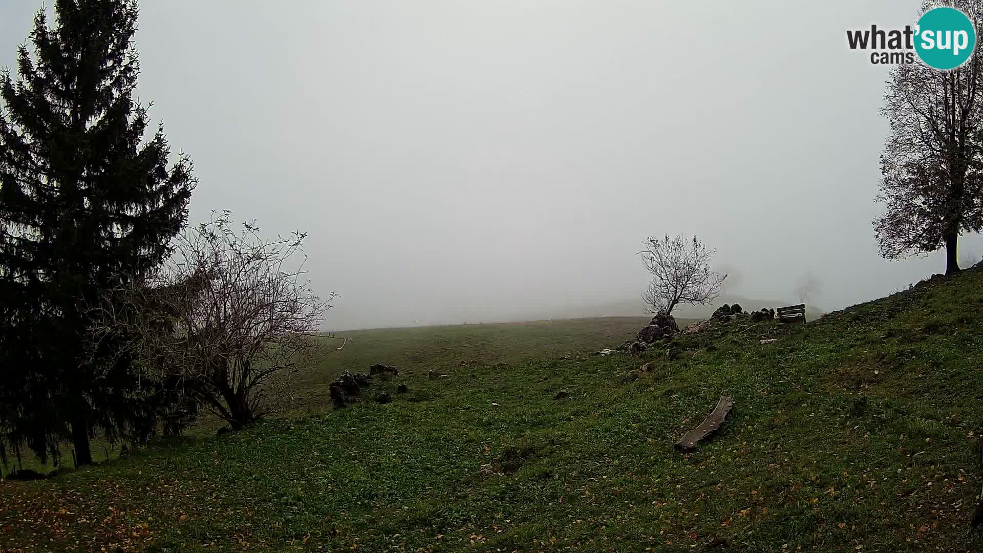 Slajka camera en vivo | Gorenja Vas | Eslovenia