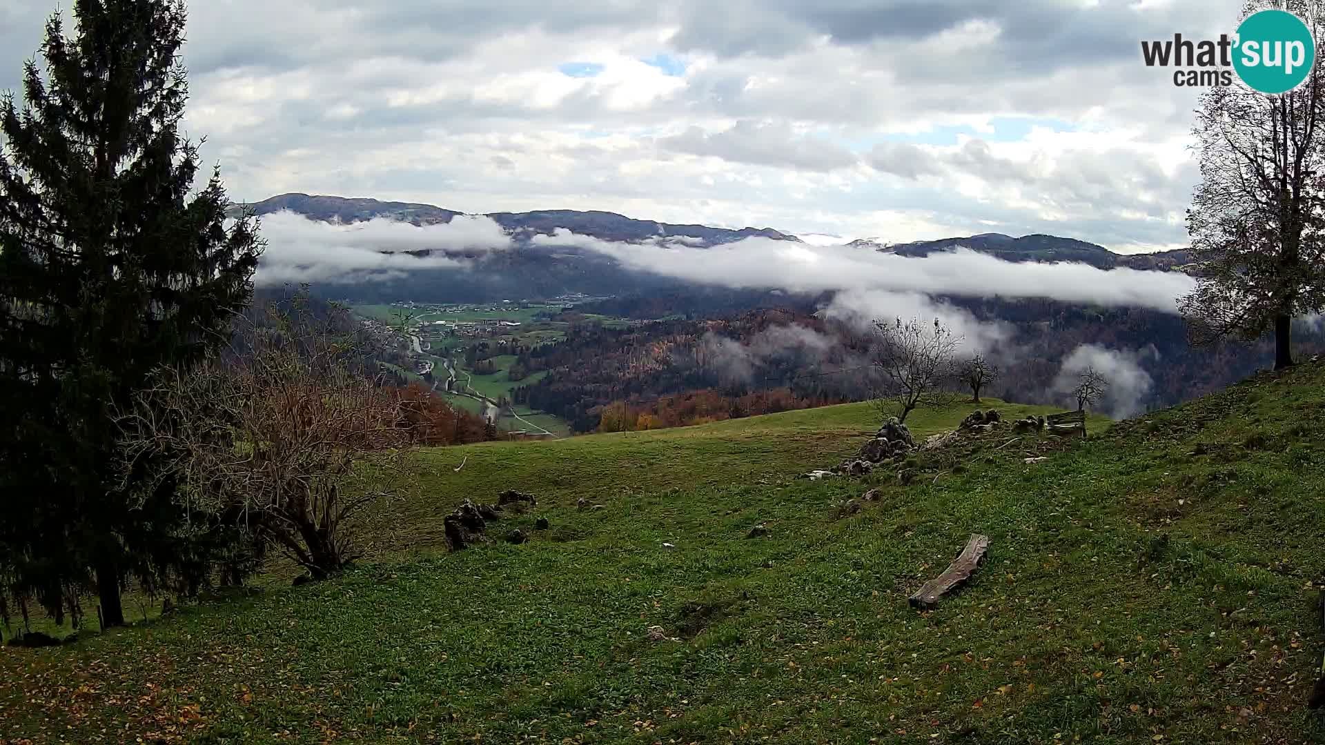 Slajka livecam | Gorenja Vas | Slovénie