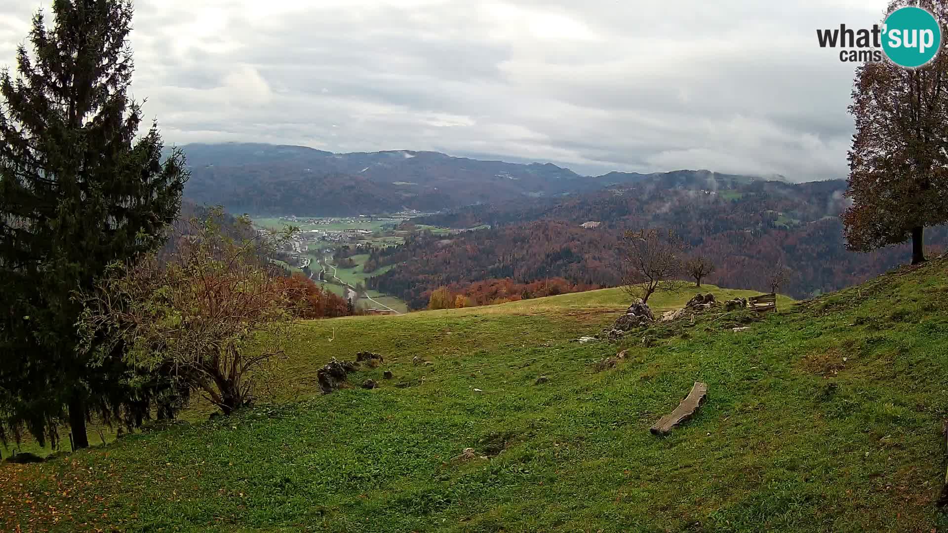 Slajka webam | Gorenja vas | Slovenia