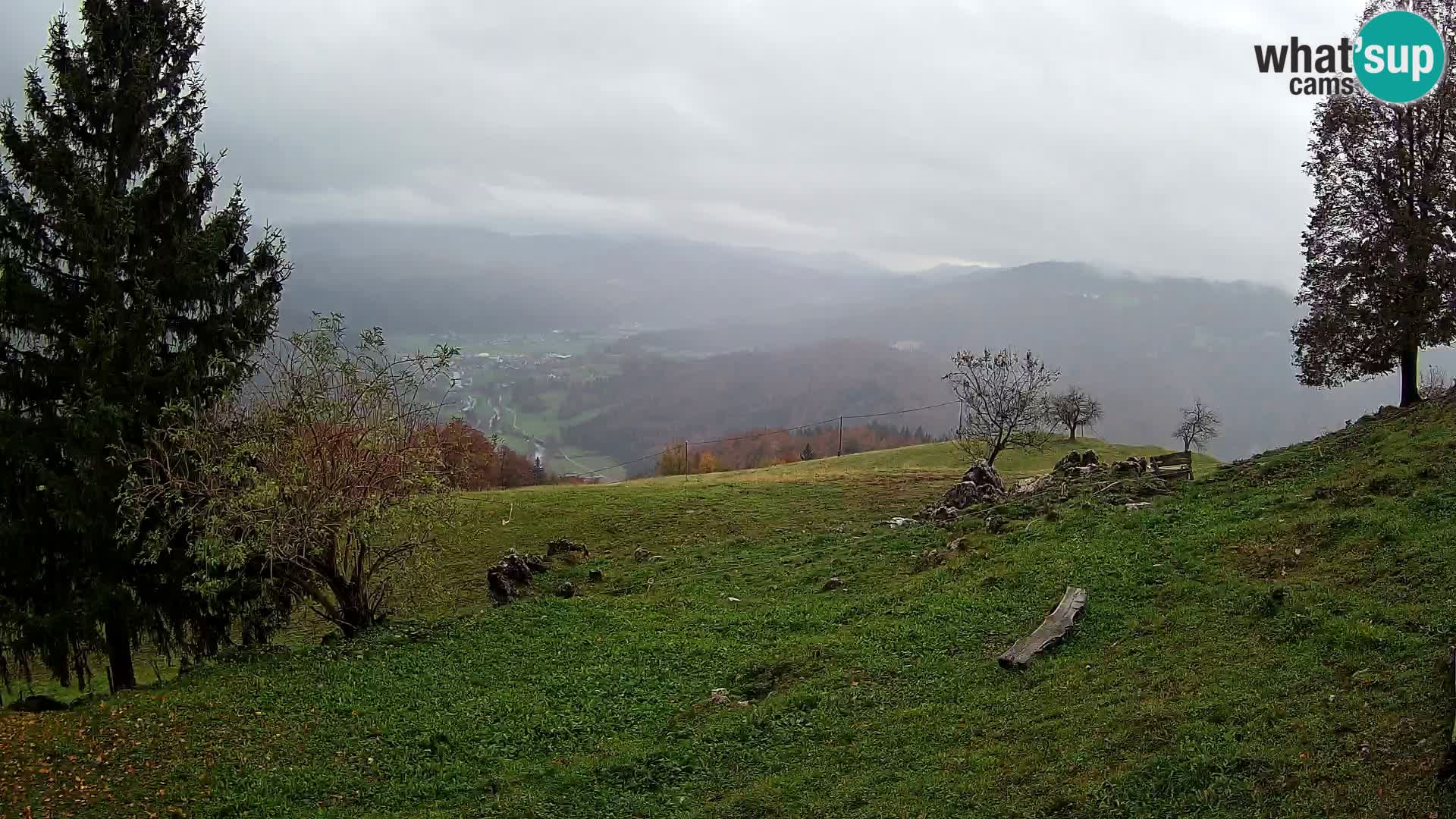 Slajka webam | Gorenja vas | Slovenia