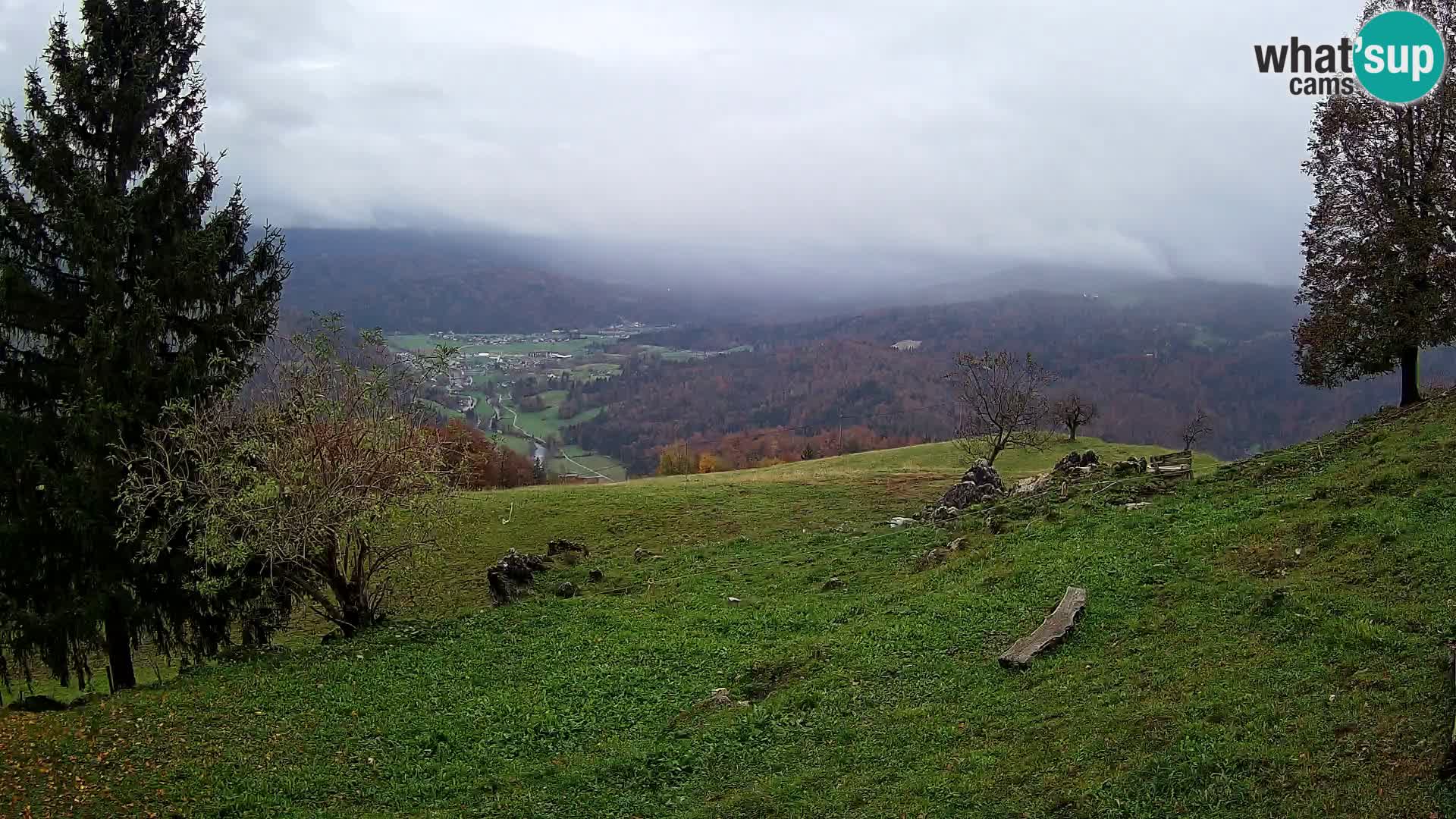 Slajka camera en vivo | Gorenja Vas | Eslovenia