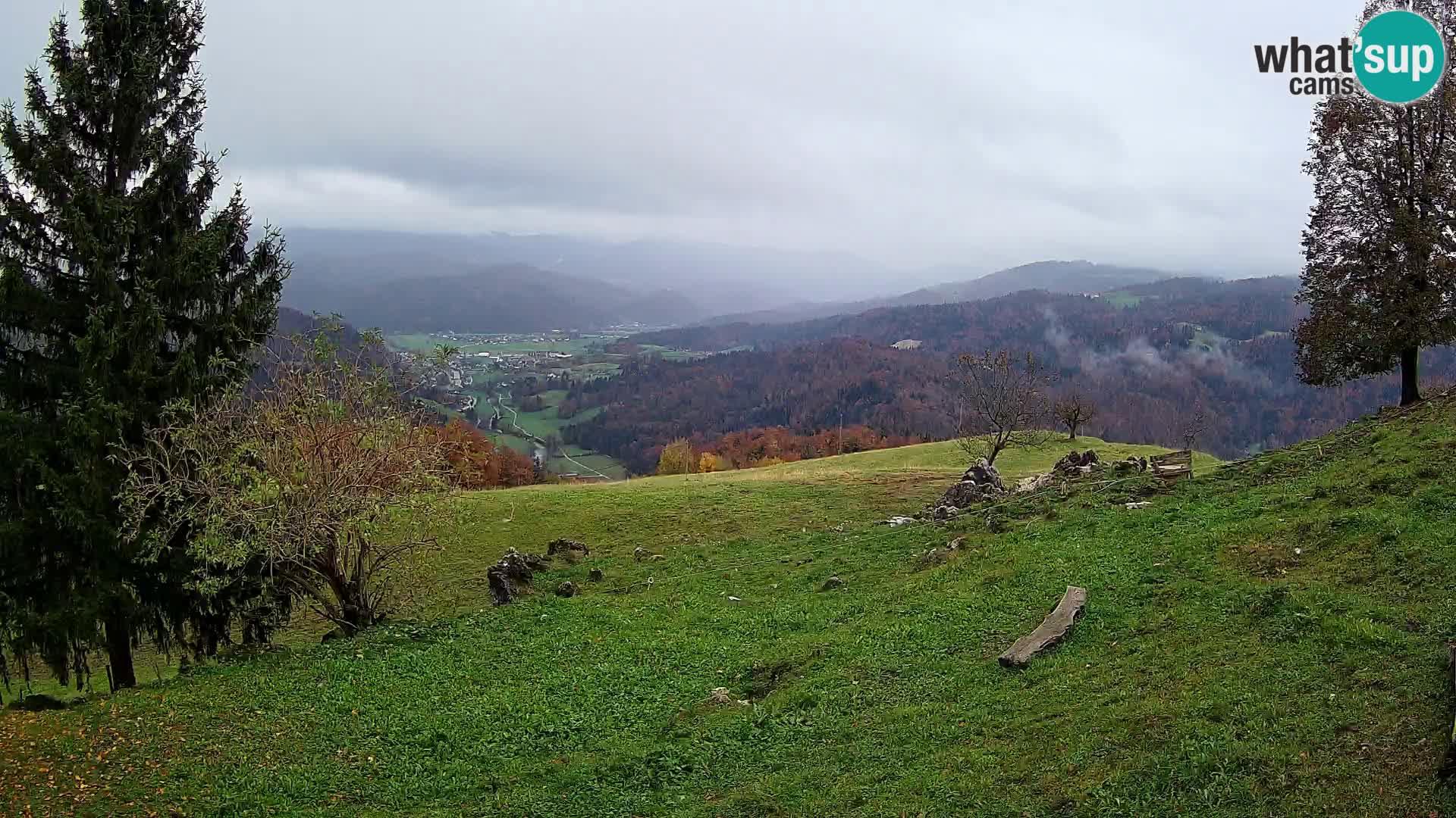 Slajka livecam | Gorenja Vas | Slovénie