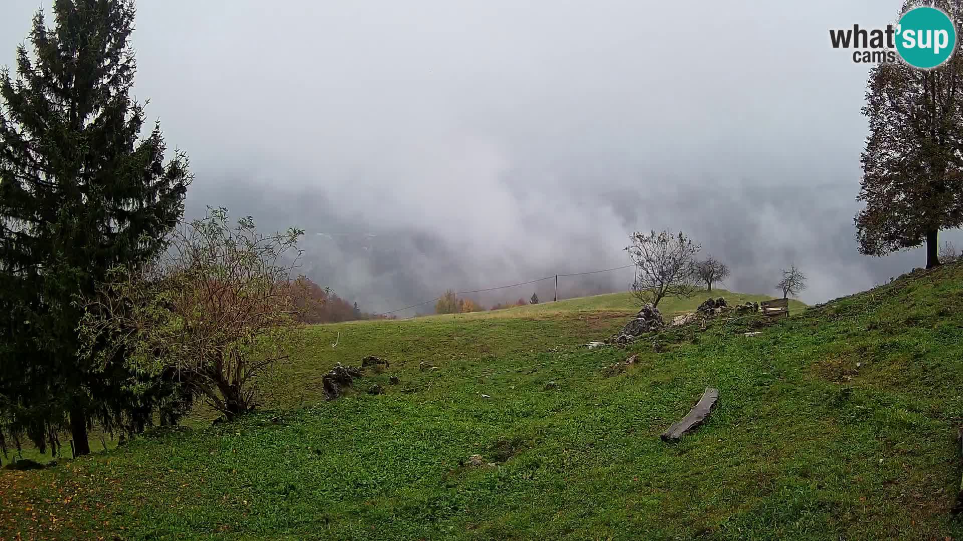 Slajka webam | Gorenja vas | Slovenia