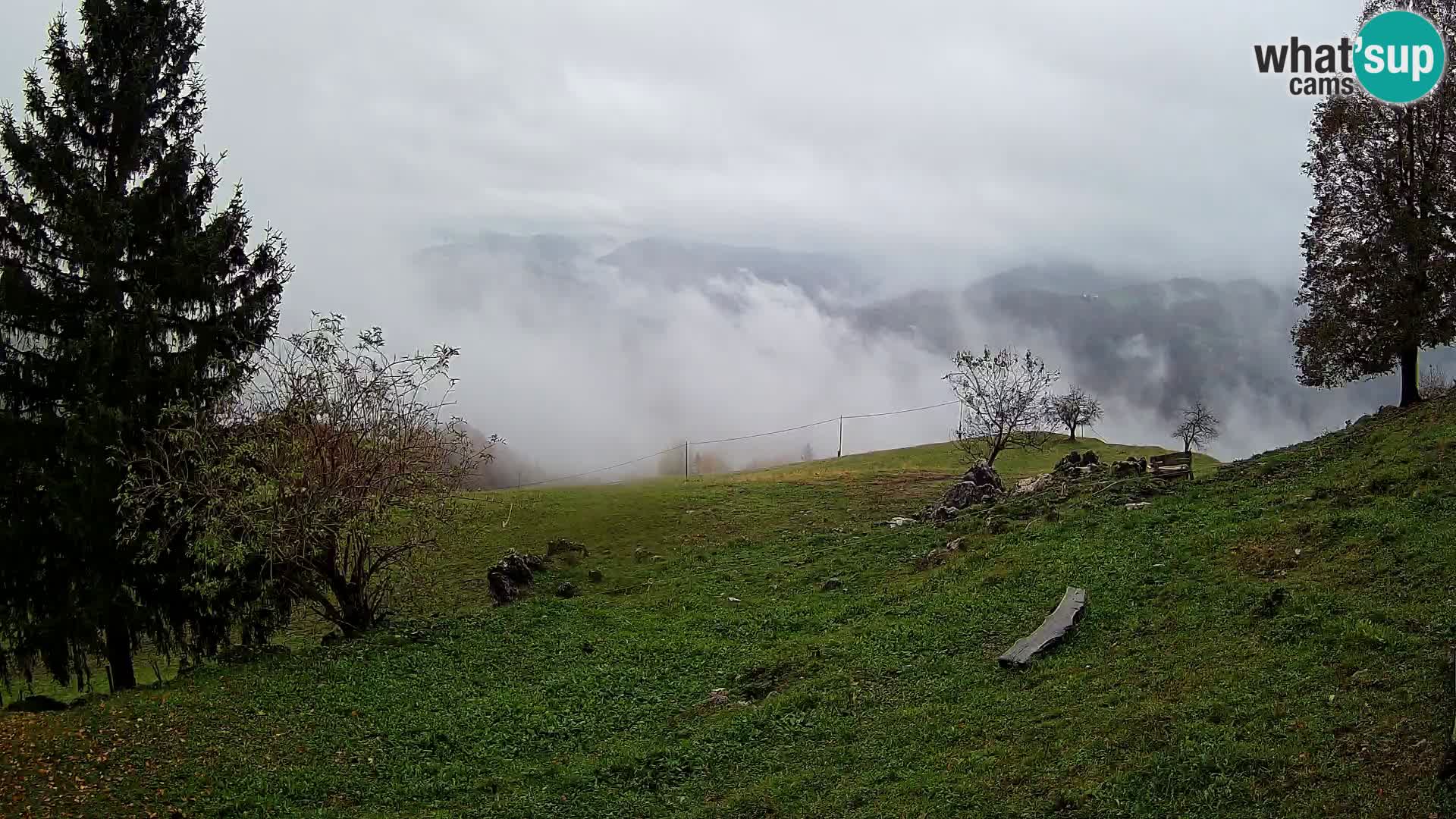 Slajka webam | Gorenja vas | Slovenia