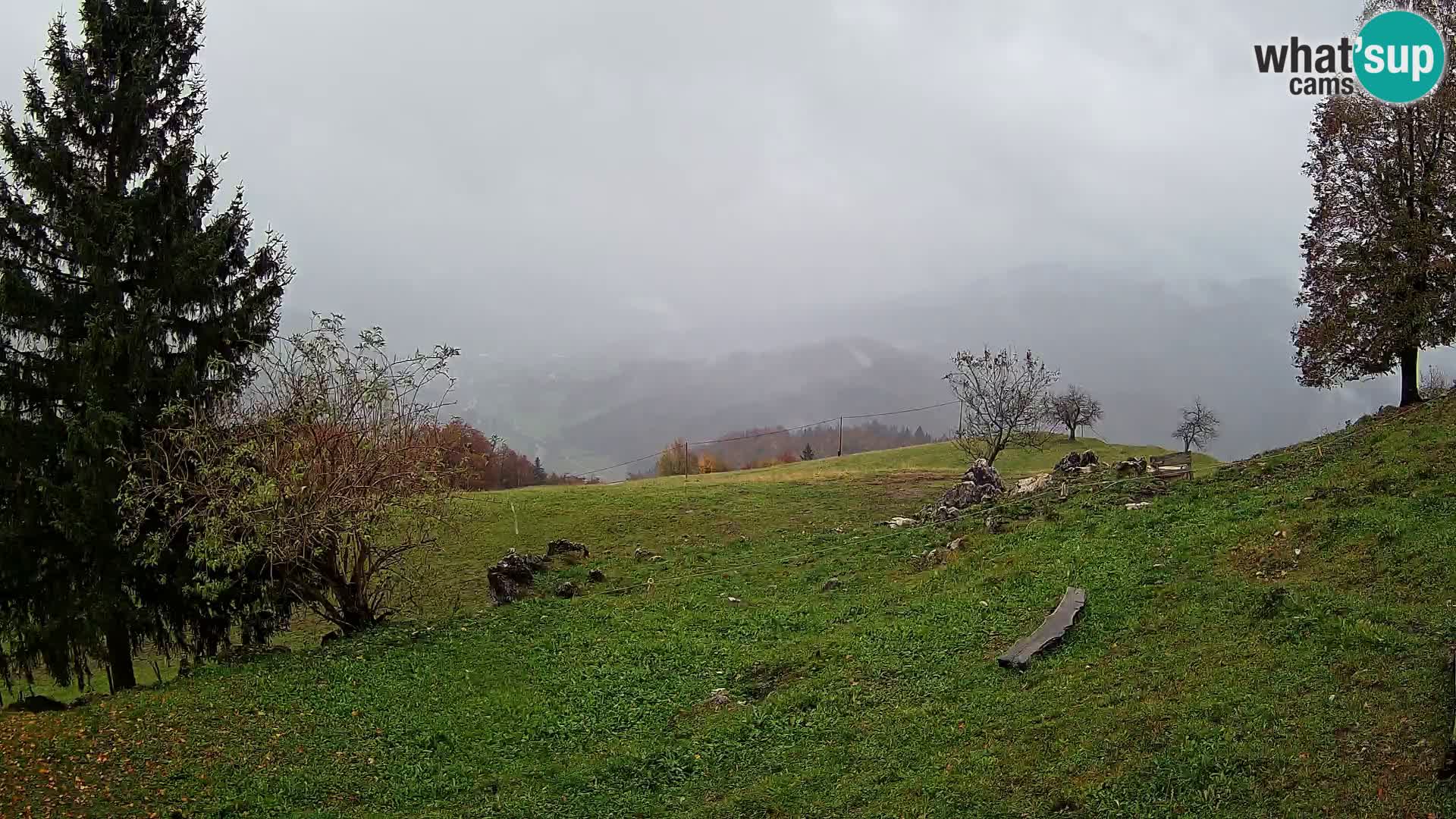 Slajka camera en vivo | Gorenja Vas | Eslovenia