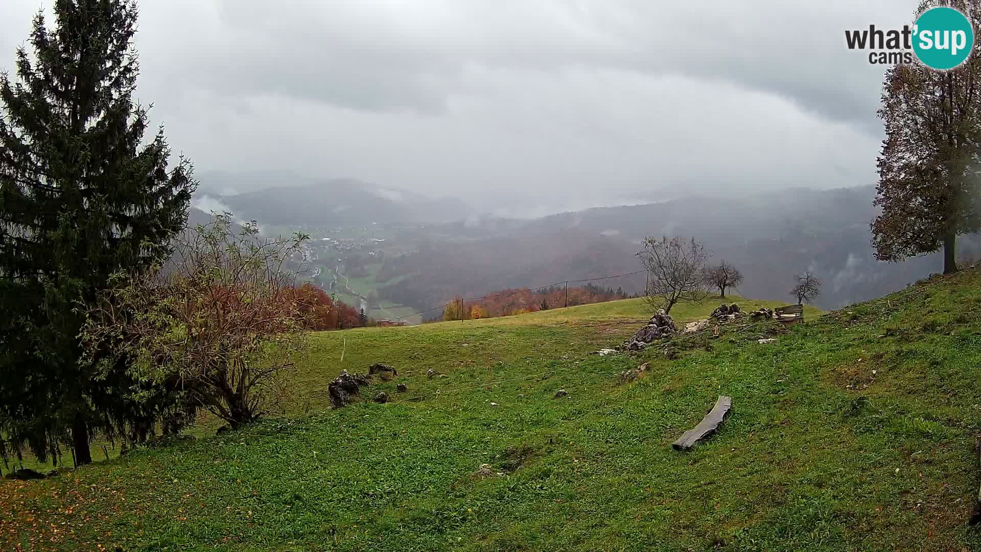 Slajka camera en vivo | Gorenja Vas | Eslovenia