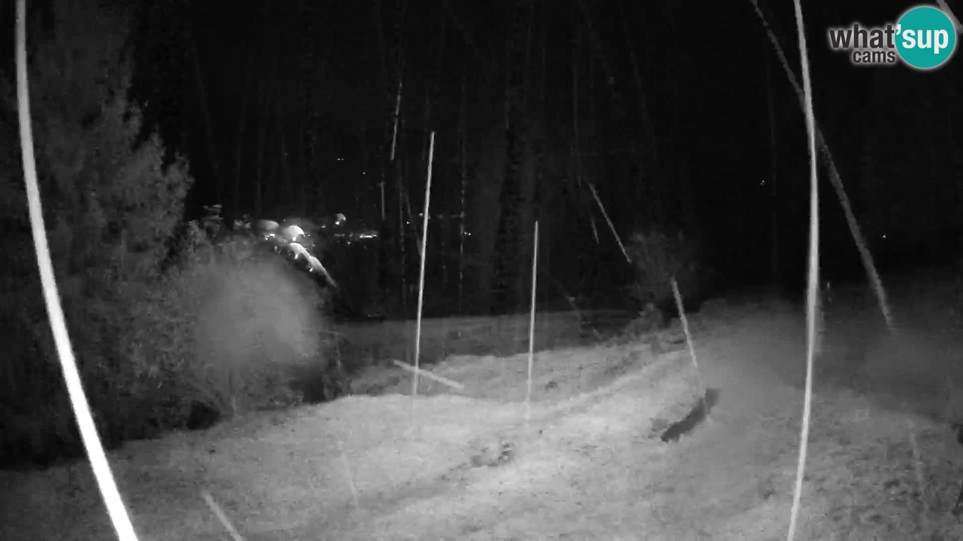 Slajka webam | Gorenja vas | Slovenia