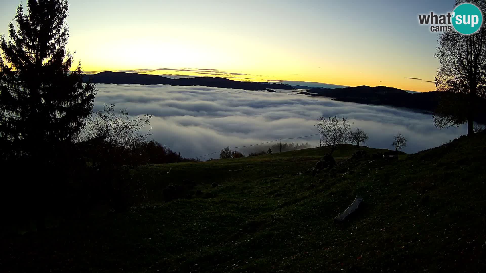 Slajka webam | Gorenja vas | Slovenia