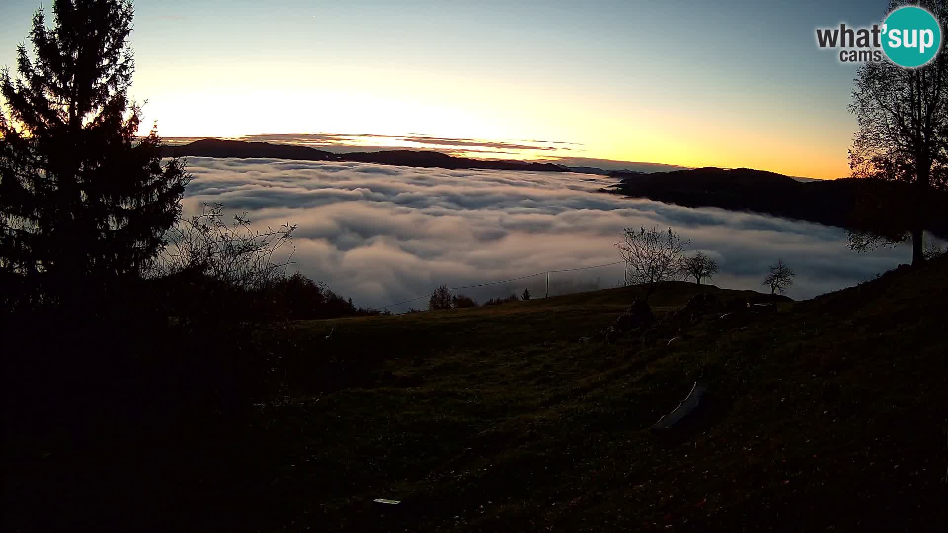 Slajka livecam | Gorenja Vas | Slovénie