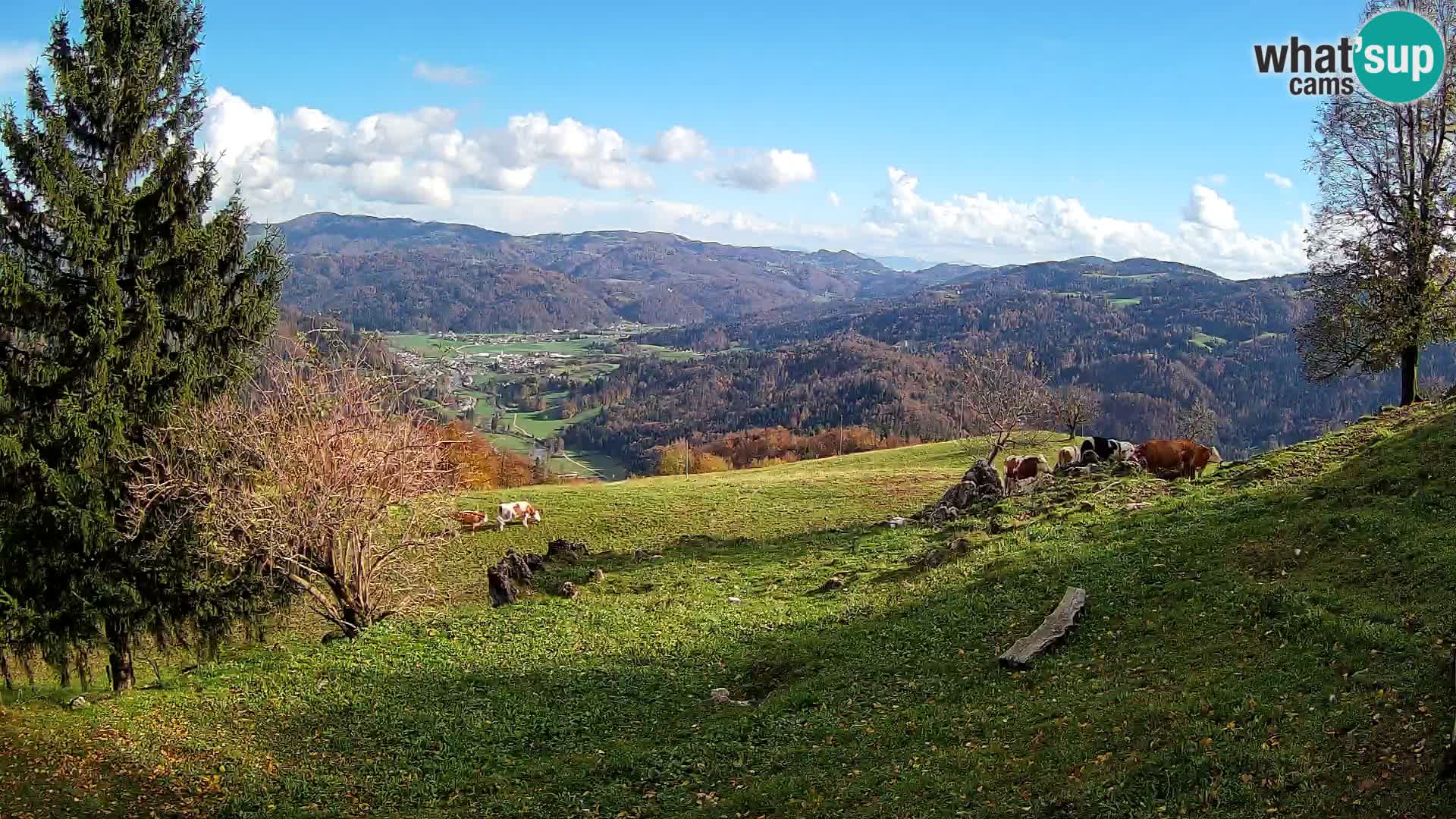 Webcam Slajka | Gorenja vas | Slovenia