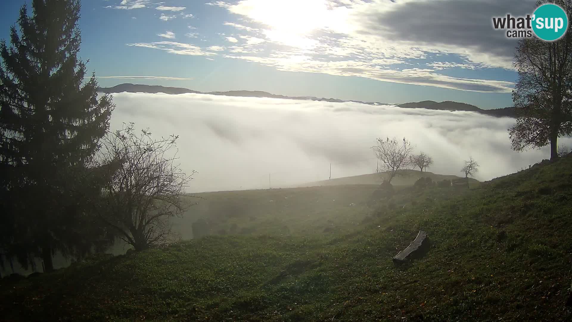 Slajka webam | Gorenja vas | Slovenia