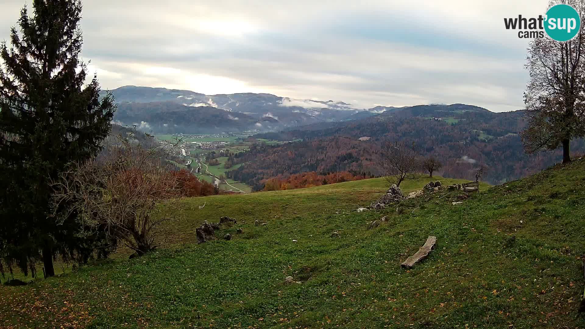 Slajka camera en vivo | Gorenja Vas | Eslovenia
