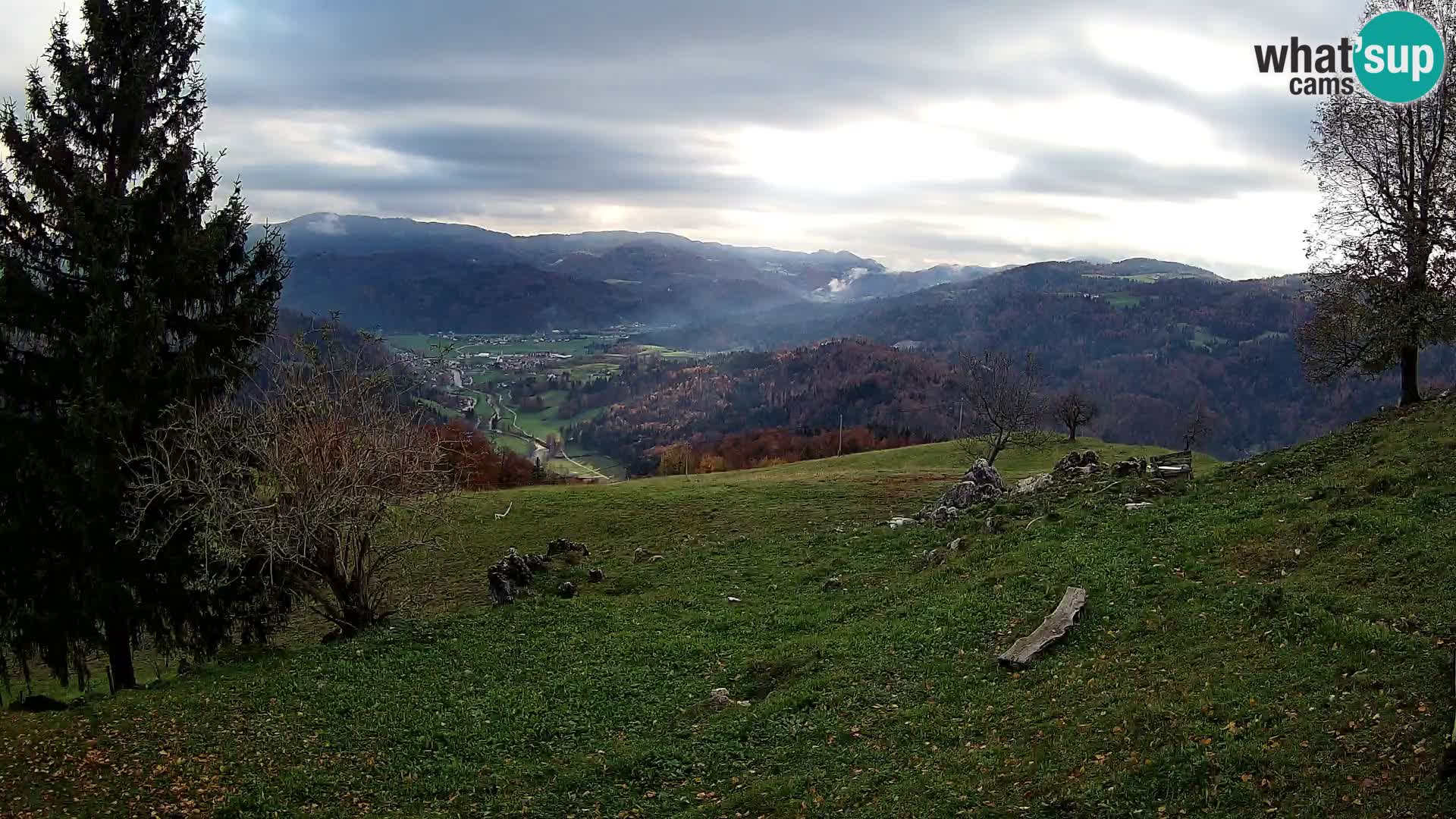 Slajka webam | Gorenja vas | Slovenia