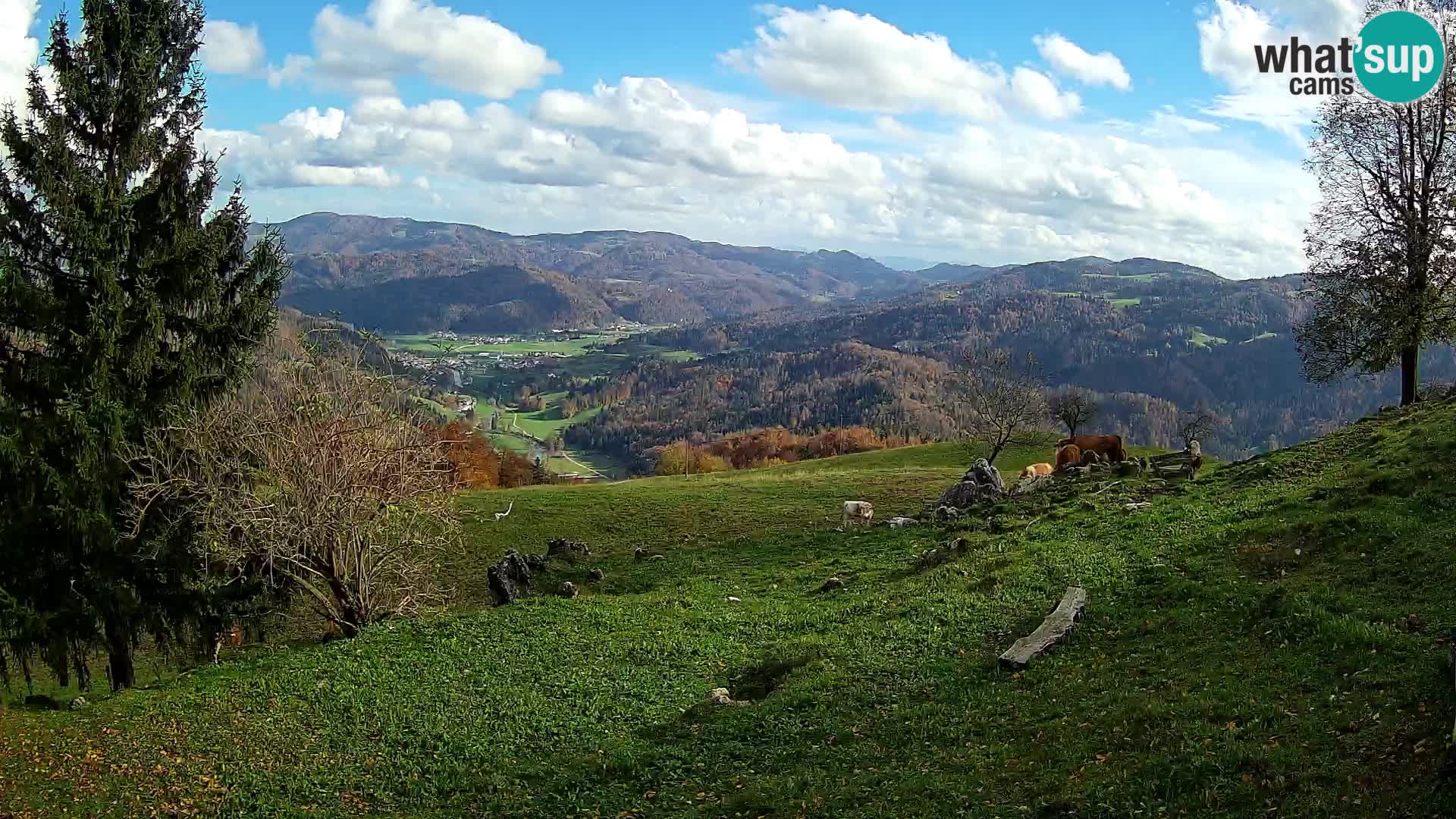 Slajka camera en vivo | Gorenja Vas | Eslovenia