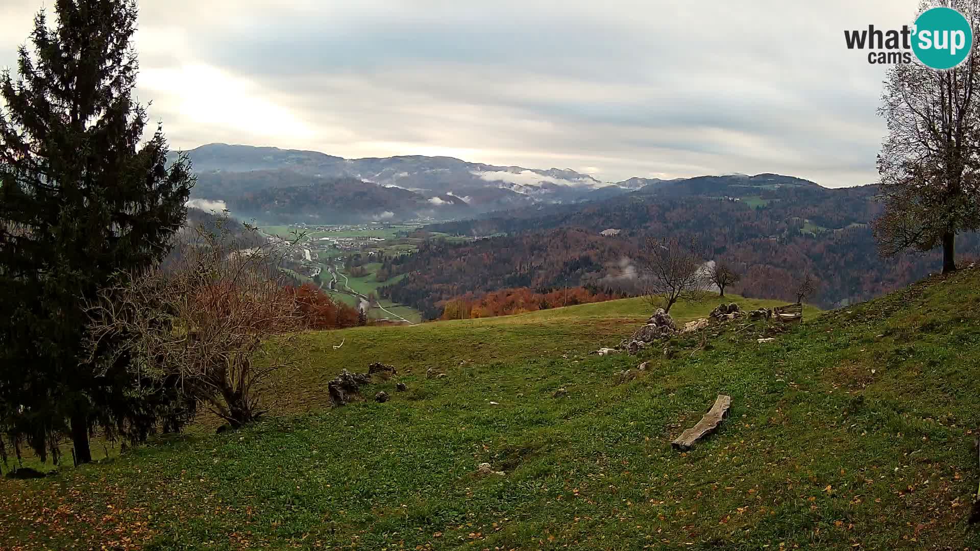 Slajka webam | Gorenja vas | Slovenia