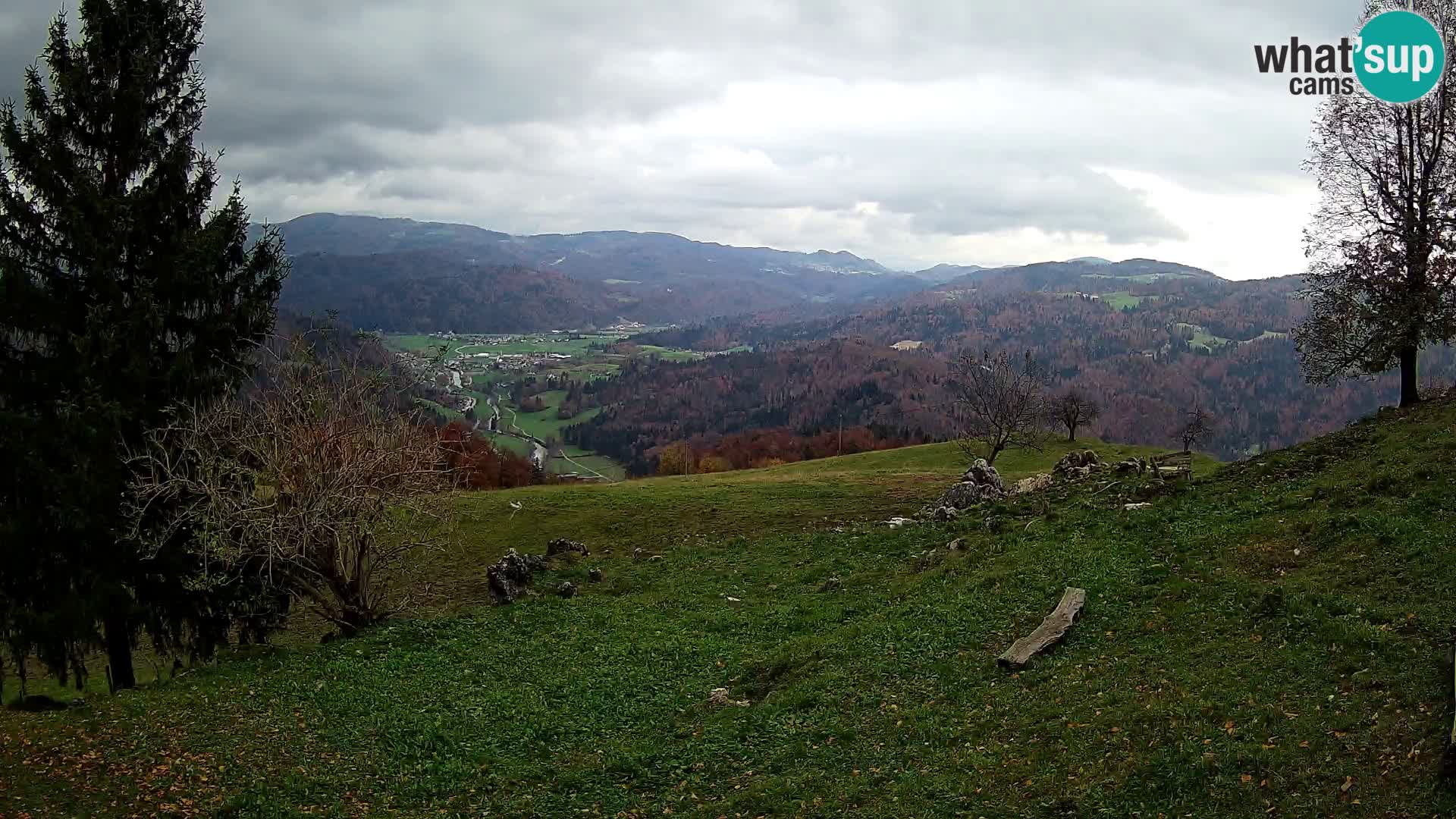 Slajka camera en vivo | Gorenja Vas | Eslovenia