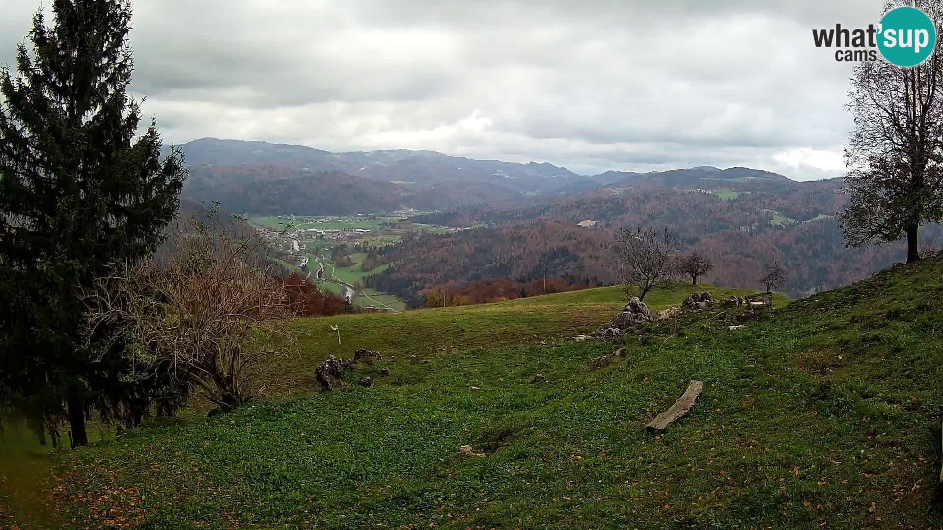 Slajka livecam | Gorenja Vas | Slovénie