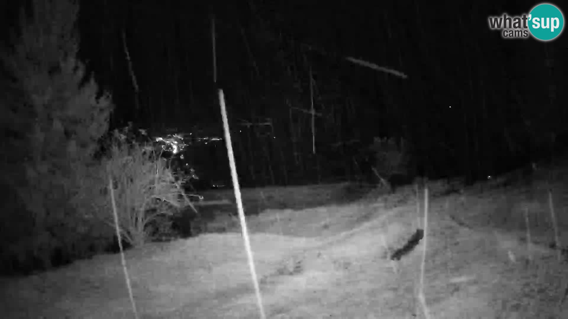 Slajka livecam | Gorenja Vas | Slovénie