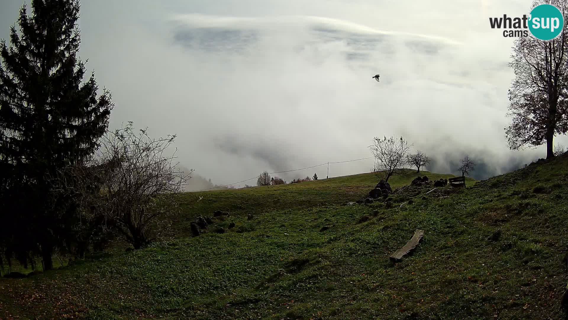 Slajka webcam | Gorenja Vas | Slowenien
