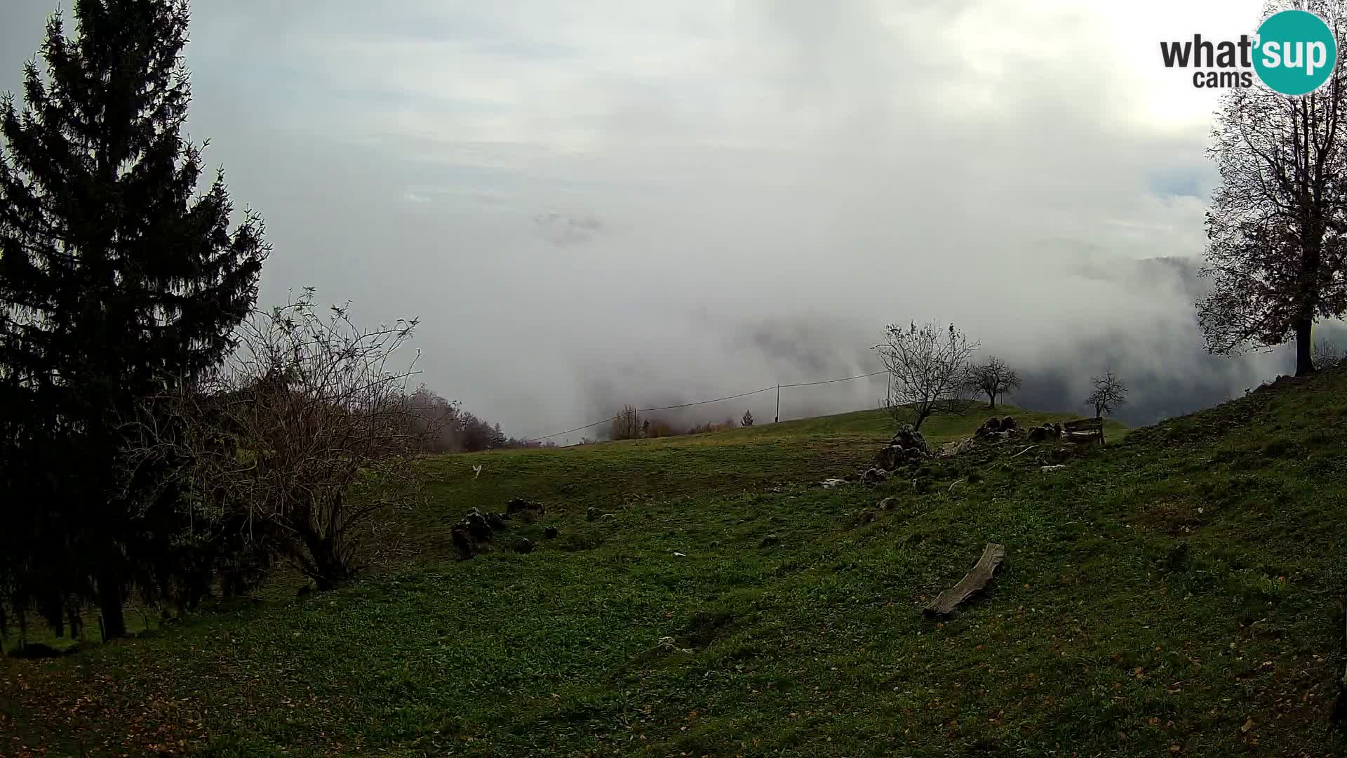 Slajka webam | Gorenja vas | Slovenia
