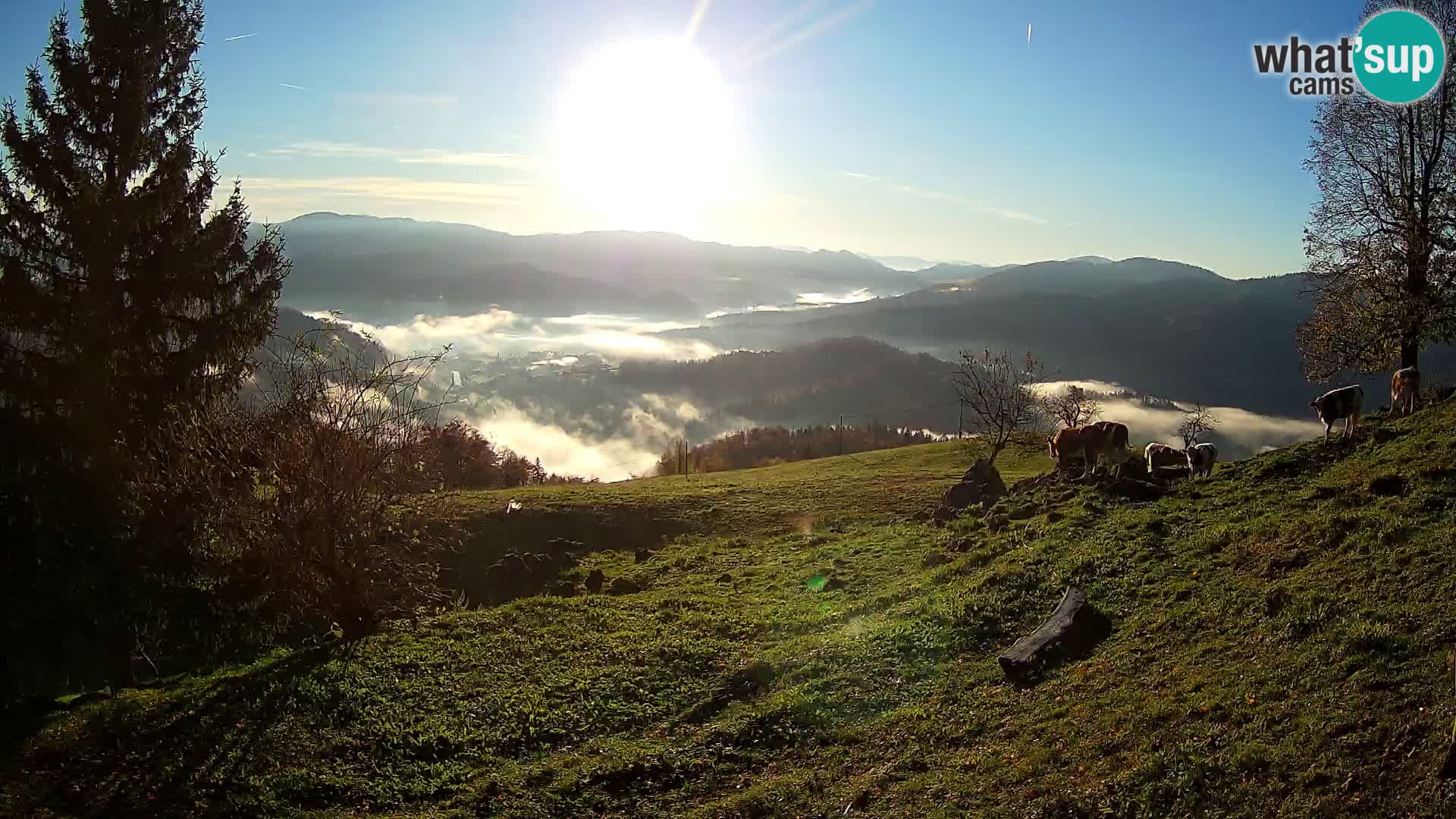 Webcam Slajka | Gorenja vas | Slovenia