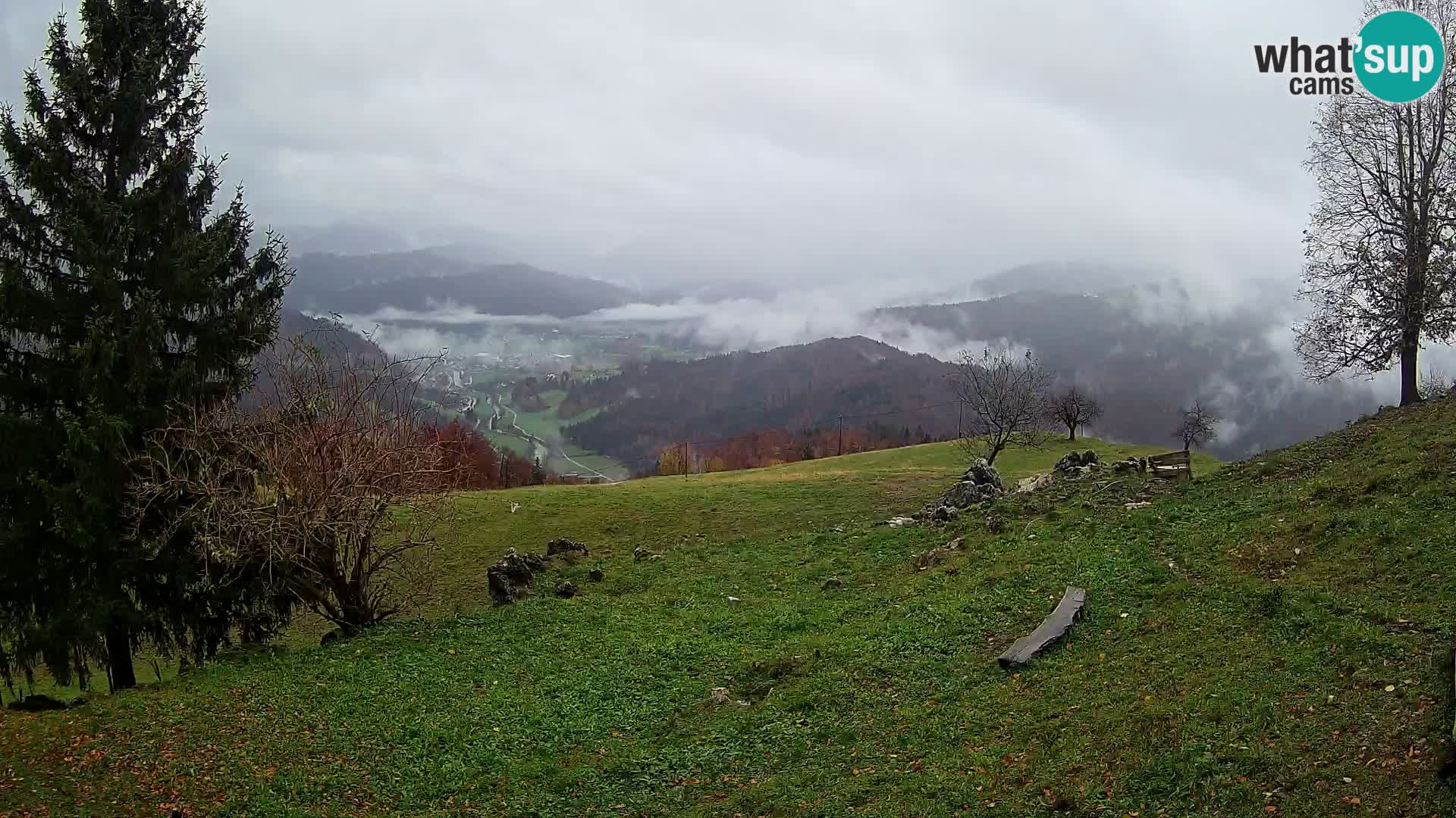 Slajka livecam | Gorenja Vas | Slovénie