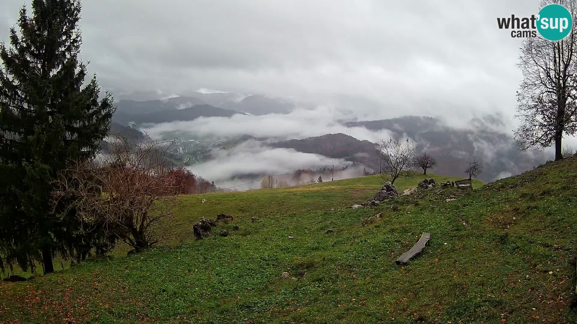 Slajka livecam | Gorenja Vas | Slovénie