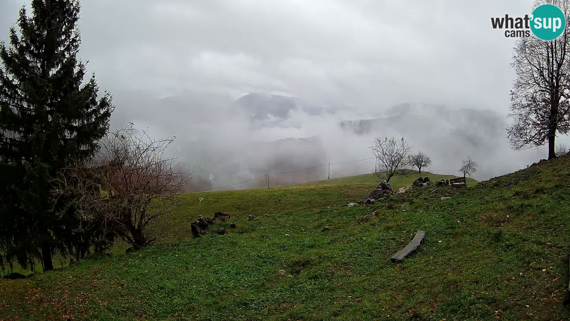 Slajka livecam | Gorenja Vas | Slovénie