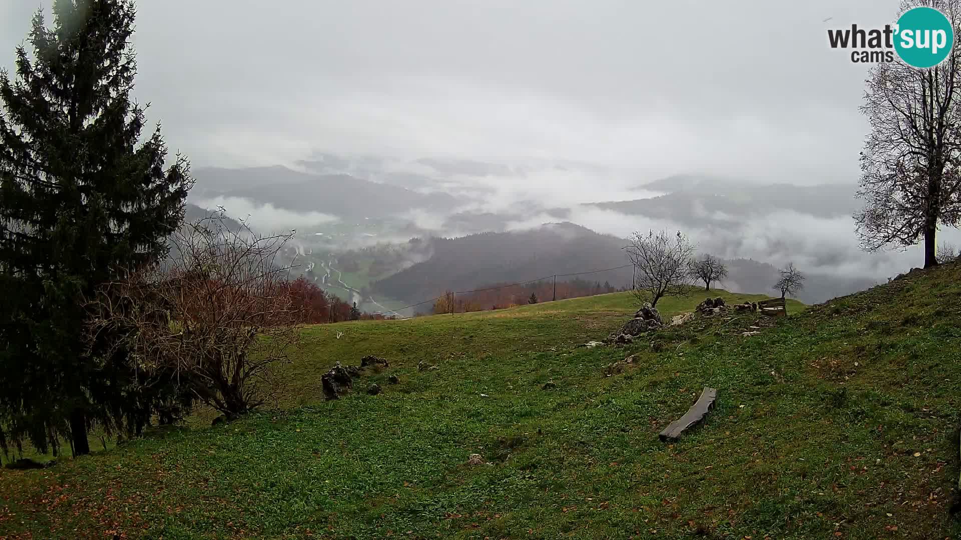 Slajka livecam | Gorenja Vas | Slovénie