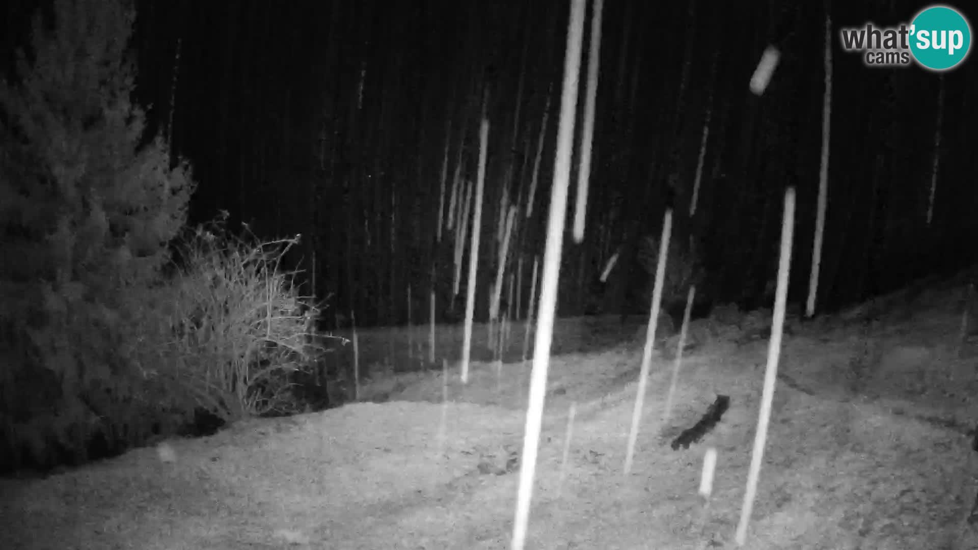 Slajka webam | Gorenja vas | Slovenia