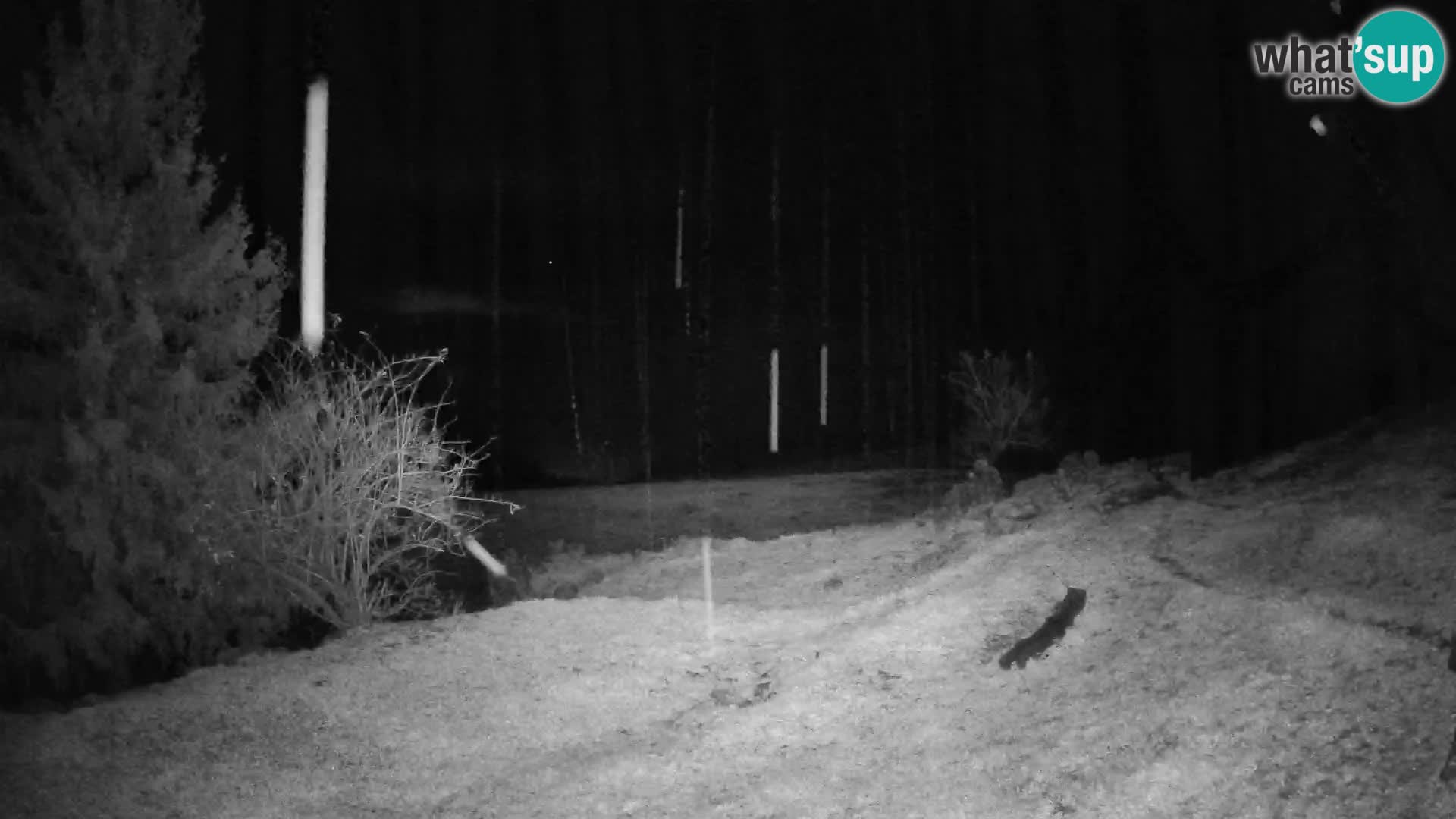 Slajka web kamera | Gorenja Vas | Slovenija