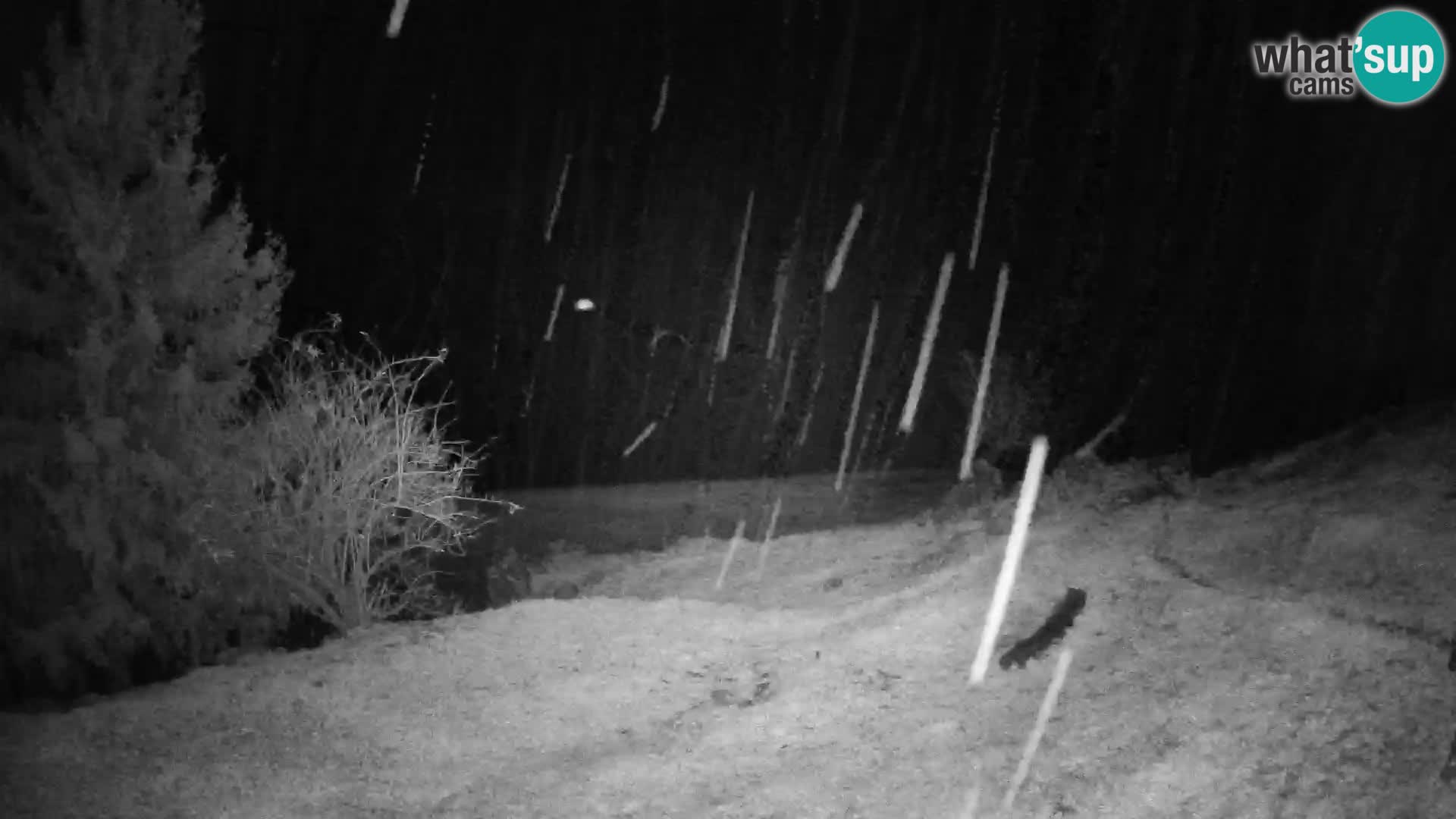 Slajka camera en vivo | Gorenja Vas | Eslovenia