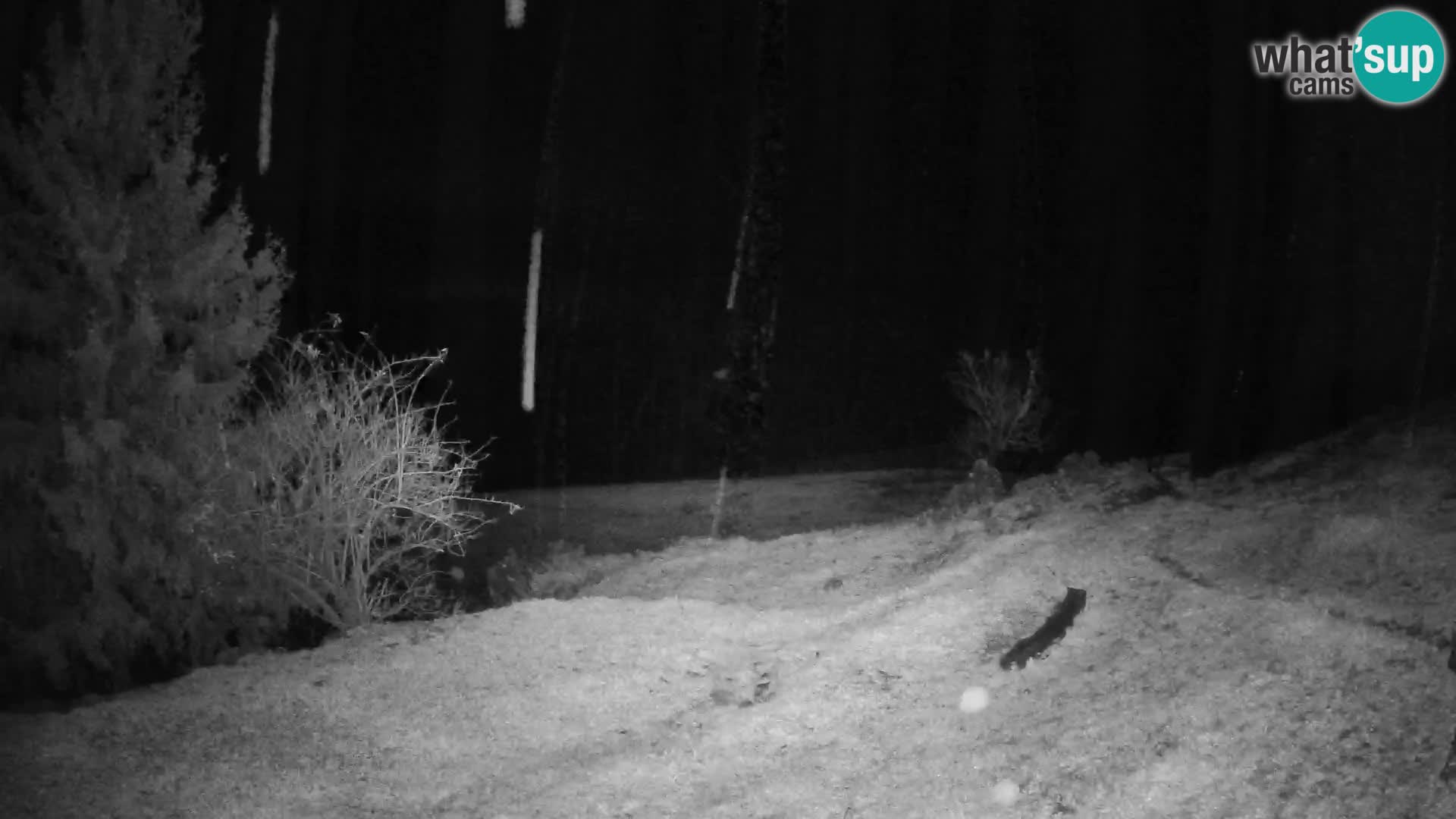 Slajka camera en vivo | Gorenja Vas | Eslovenia