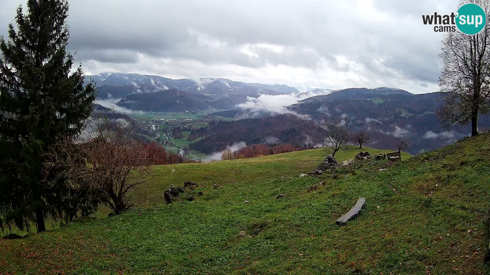 Slajka livecam | Gorenja Vas | Slovénie