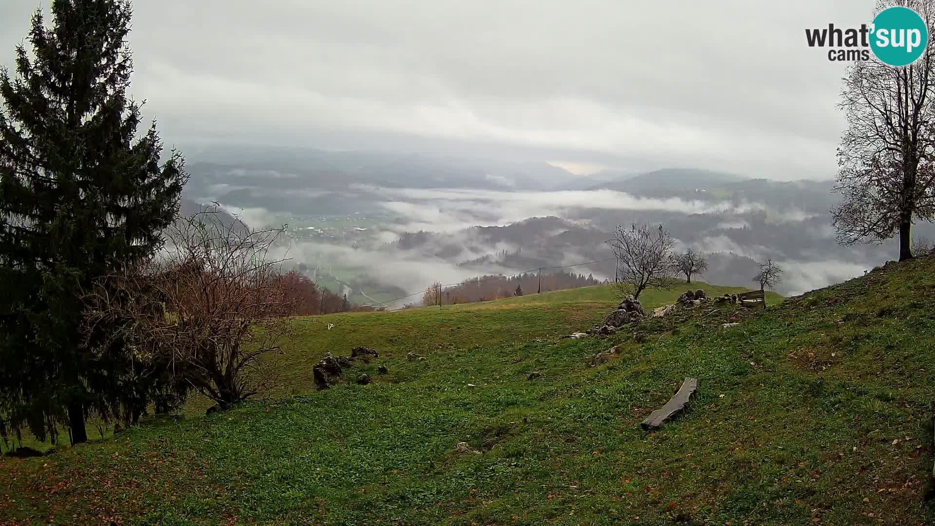 Slajka web kamera | Gorenja Vas | Slovenija