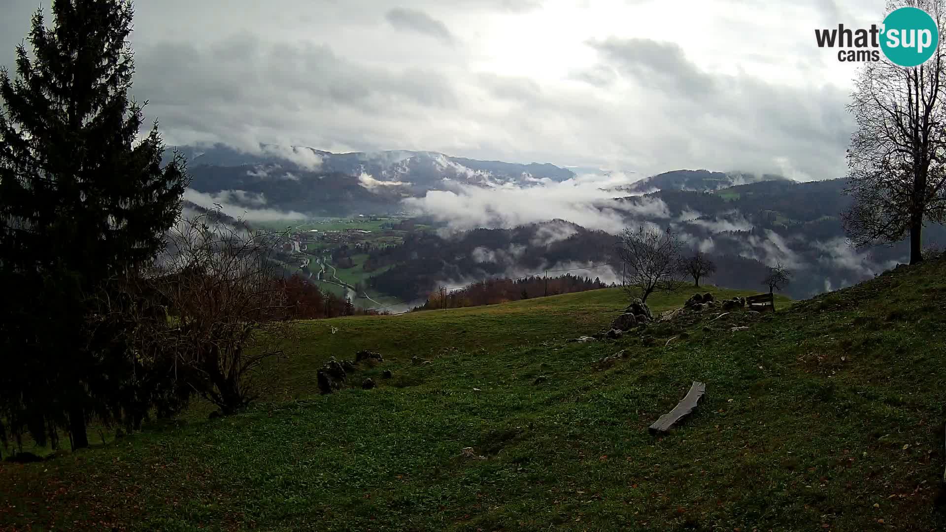 Slajka camera en vivo | Gorenja Vas | Eslovenia