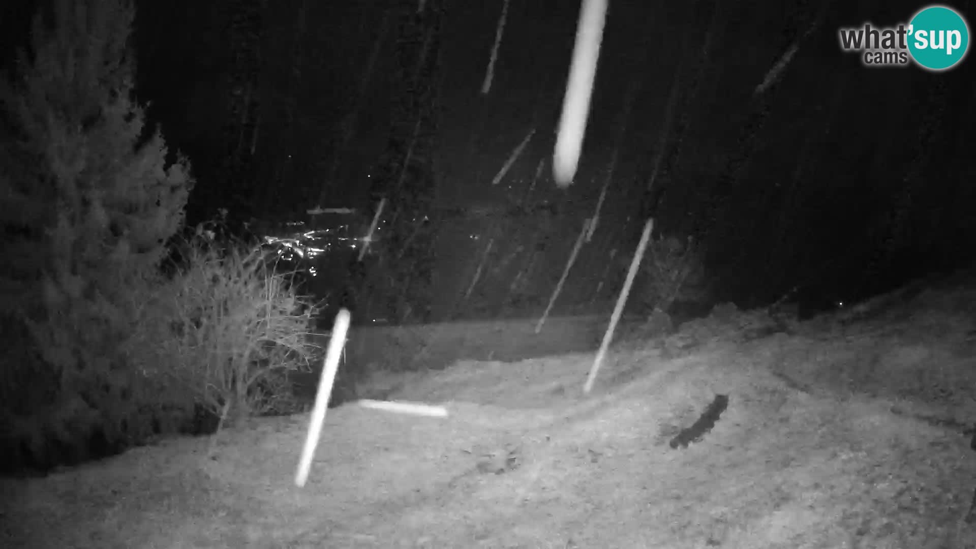 Slajka webam | Gorenja vas | Slovenia