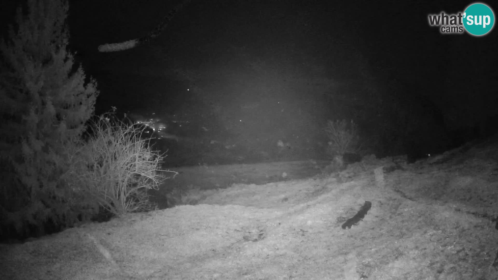 Slajka camera en vivo | Gorenja Vas | Eslovenia