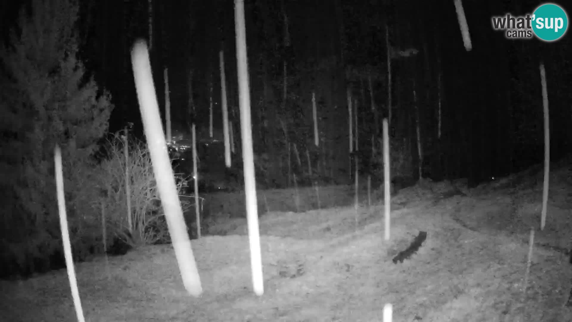 Spletna kamera Slajka | Gorenja vas