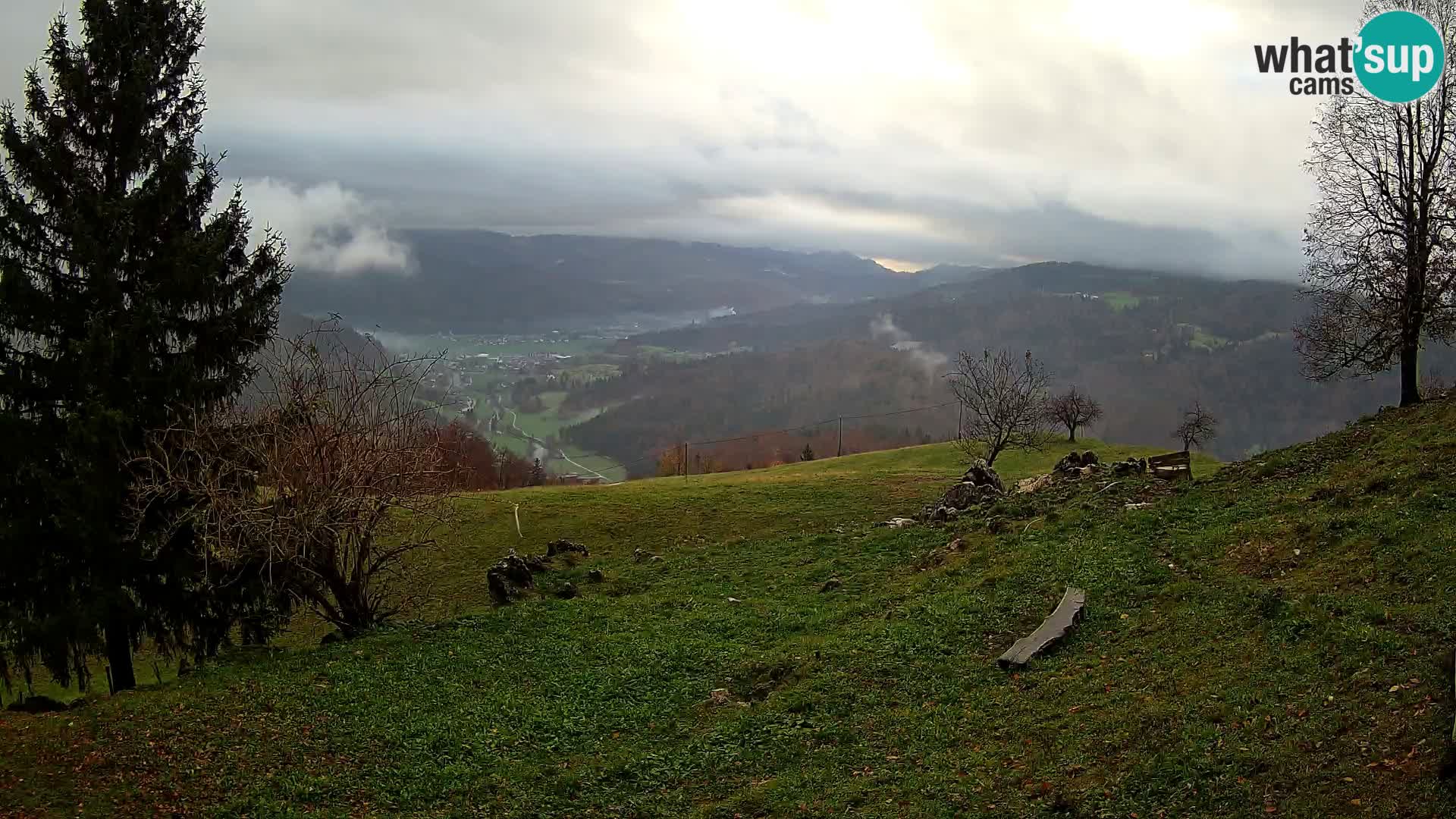 Slajka camera en vivo | Gorenja Vas | Eslovenia