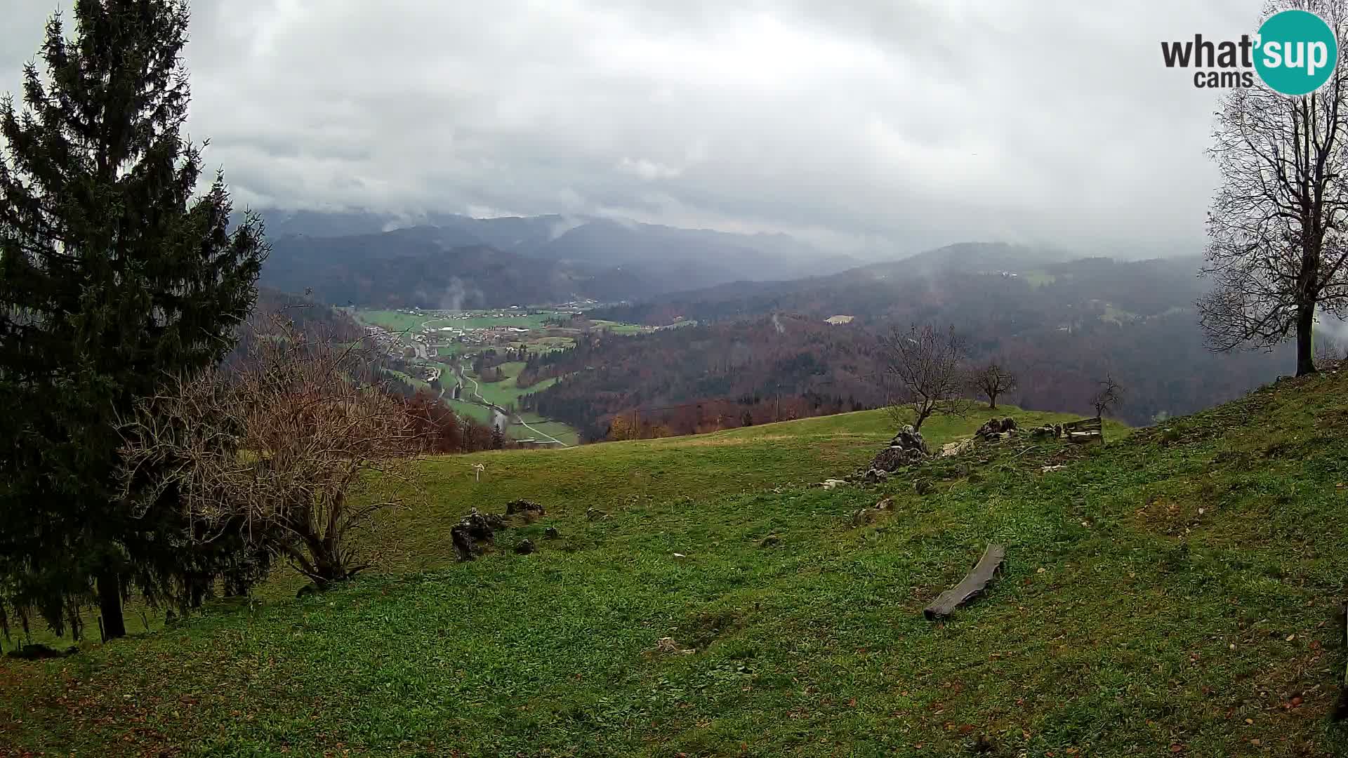 Slajka camera en vivo | Gorenja Vas | Eslovenia