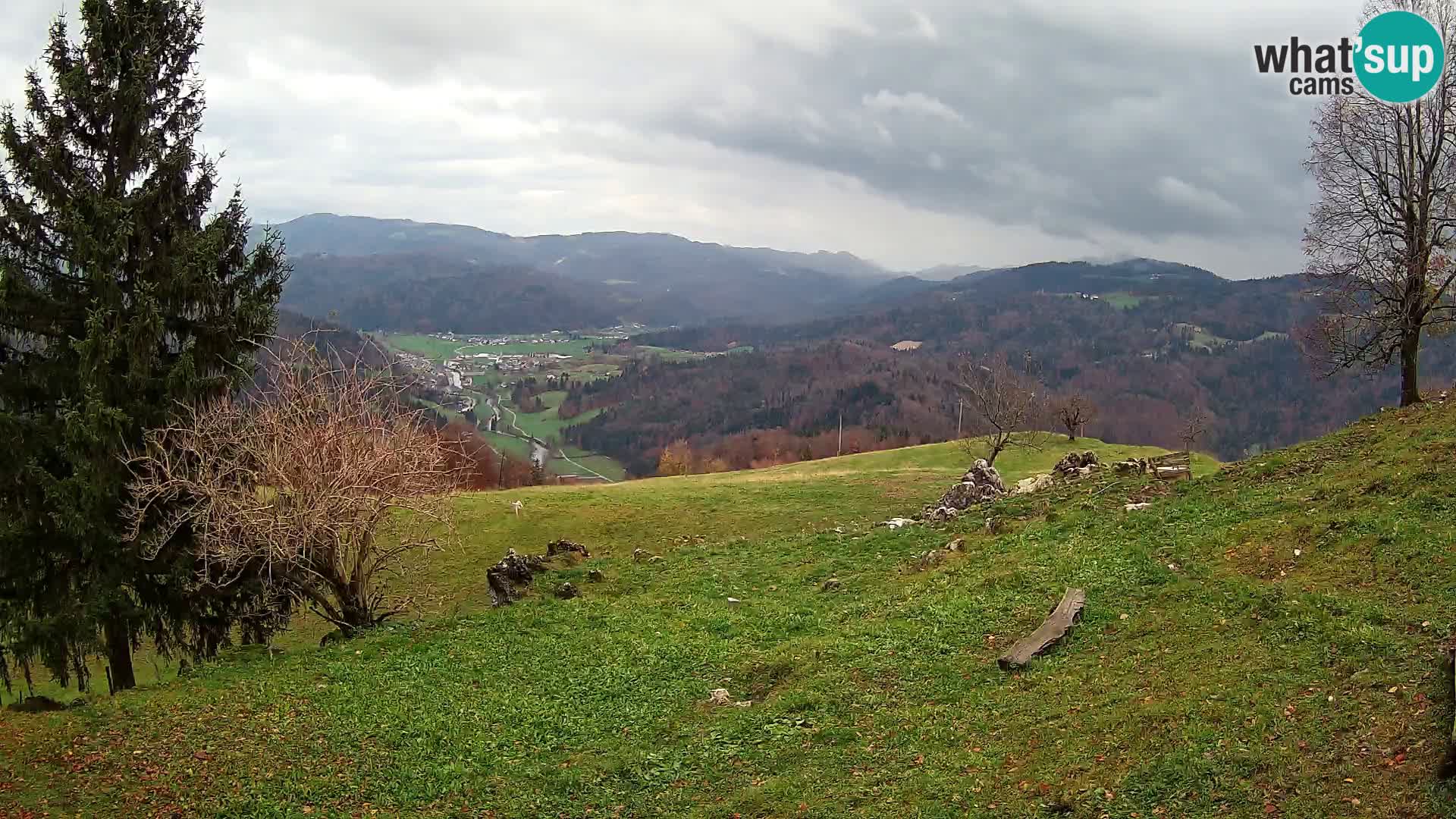 Slajka webam | Gorenja vas | Slovenia