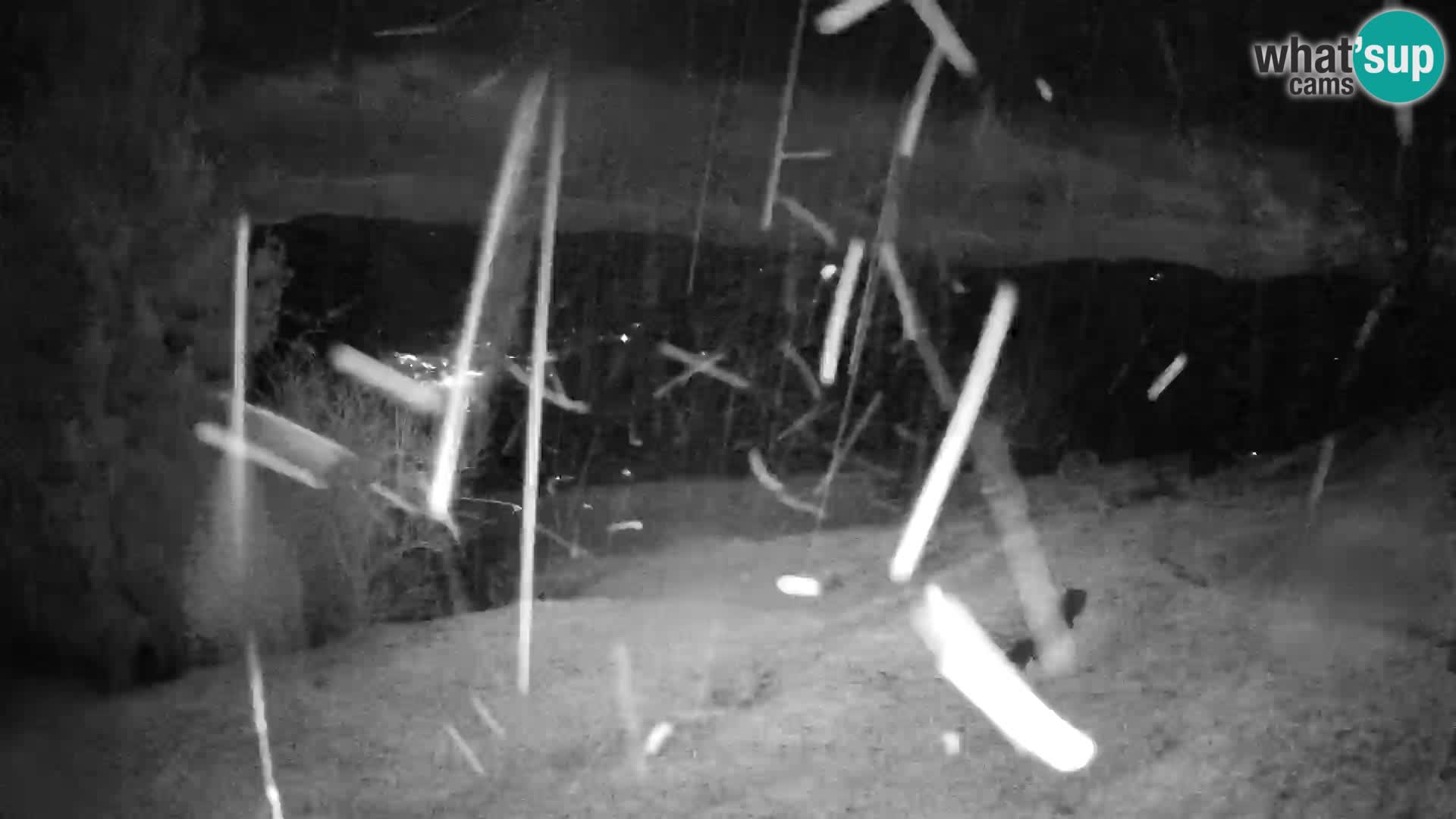 Slajka livecam | Gorenja Vas | Slovénie