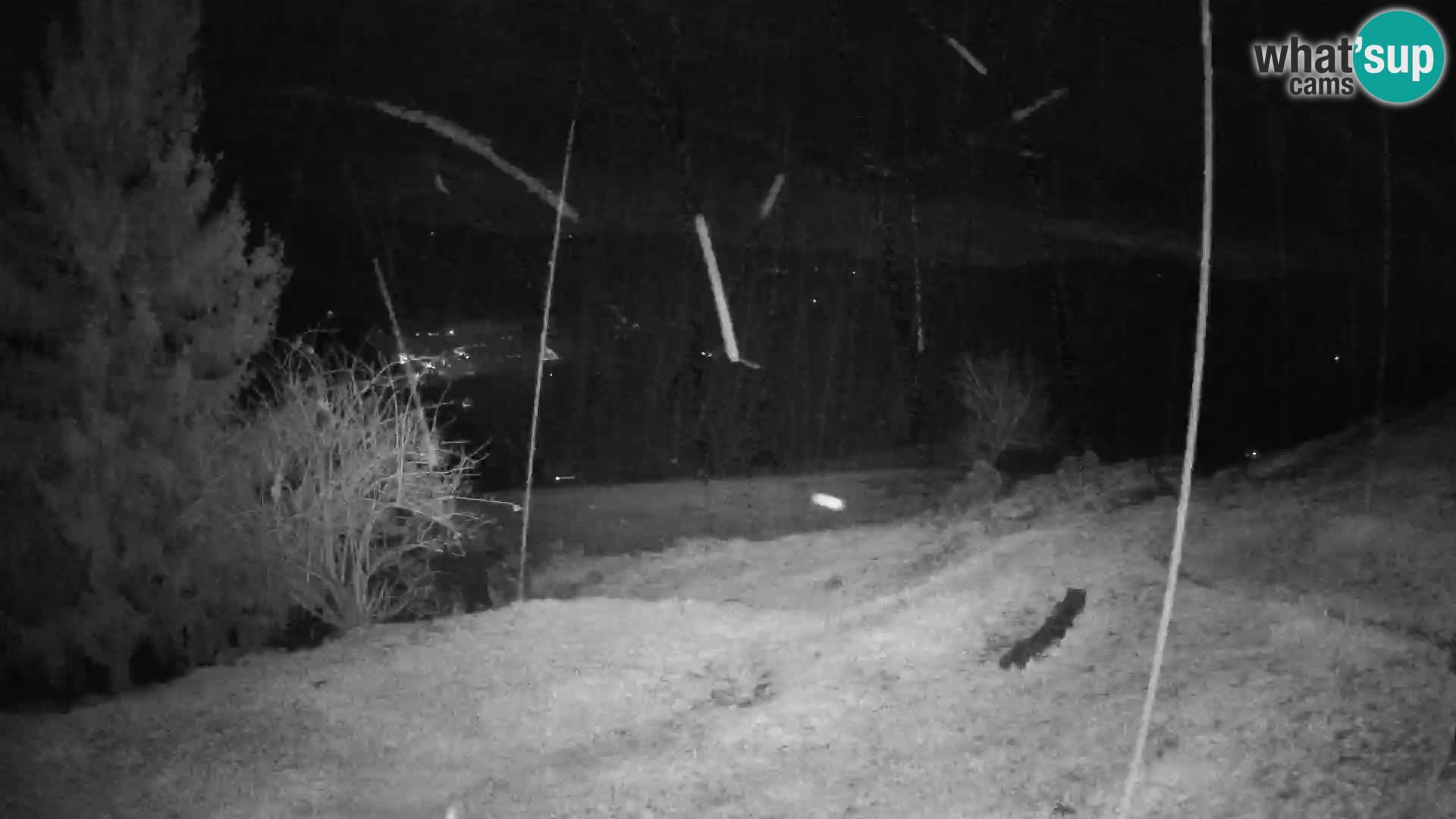 Slajka web kamera | Gorenja Vas | Slovenija