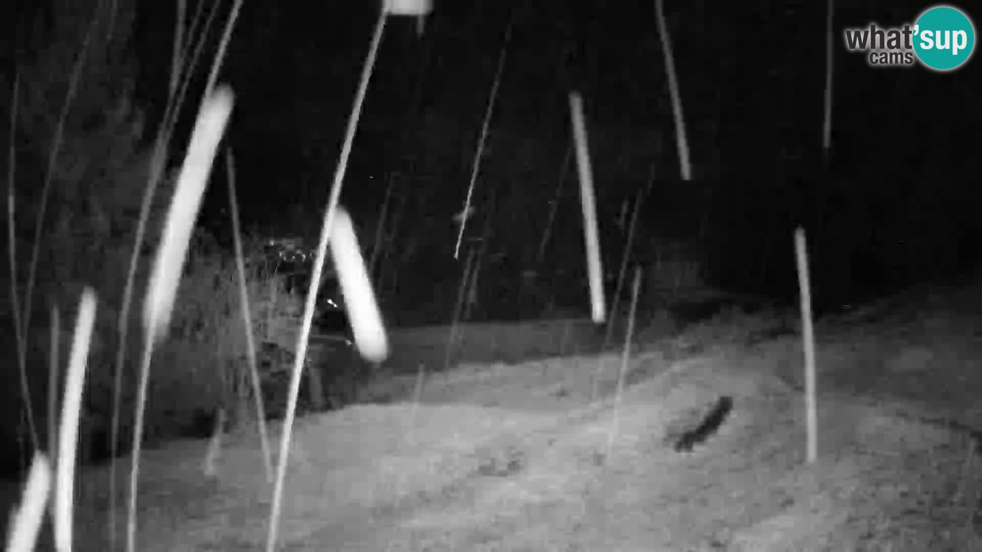 Webcam Slajka | Gorenja vas | Slovenia